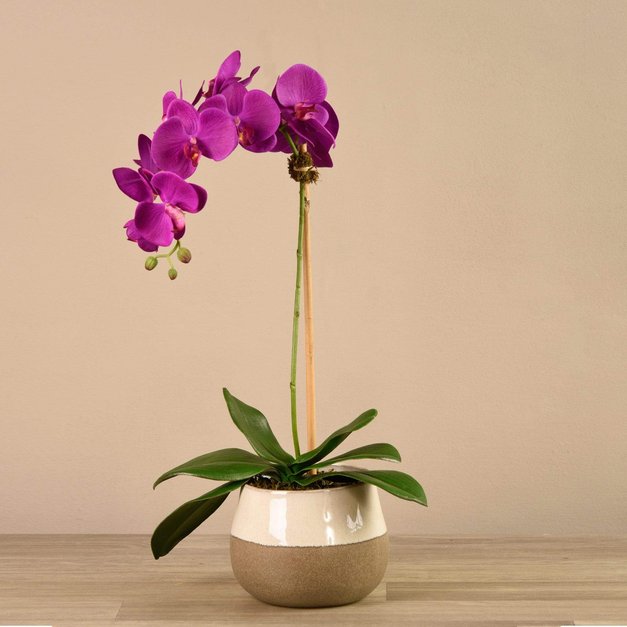 Artificial Orchid Arrangement - Image 7