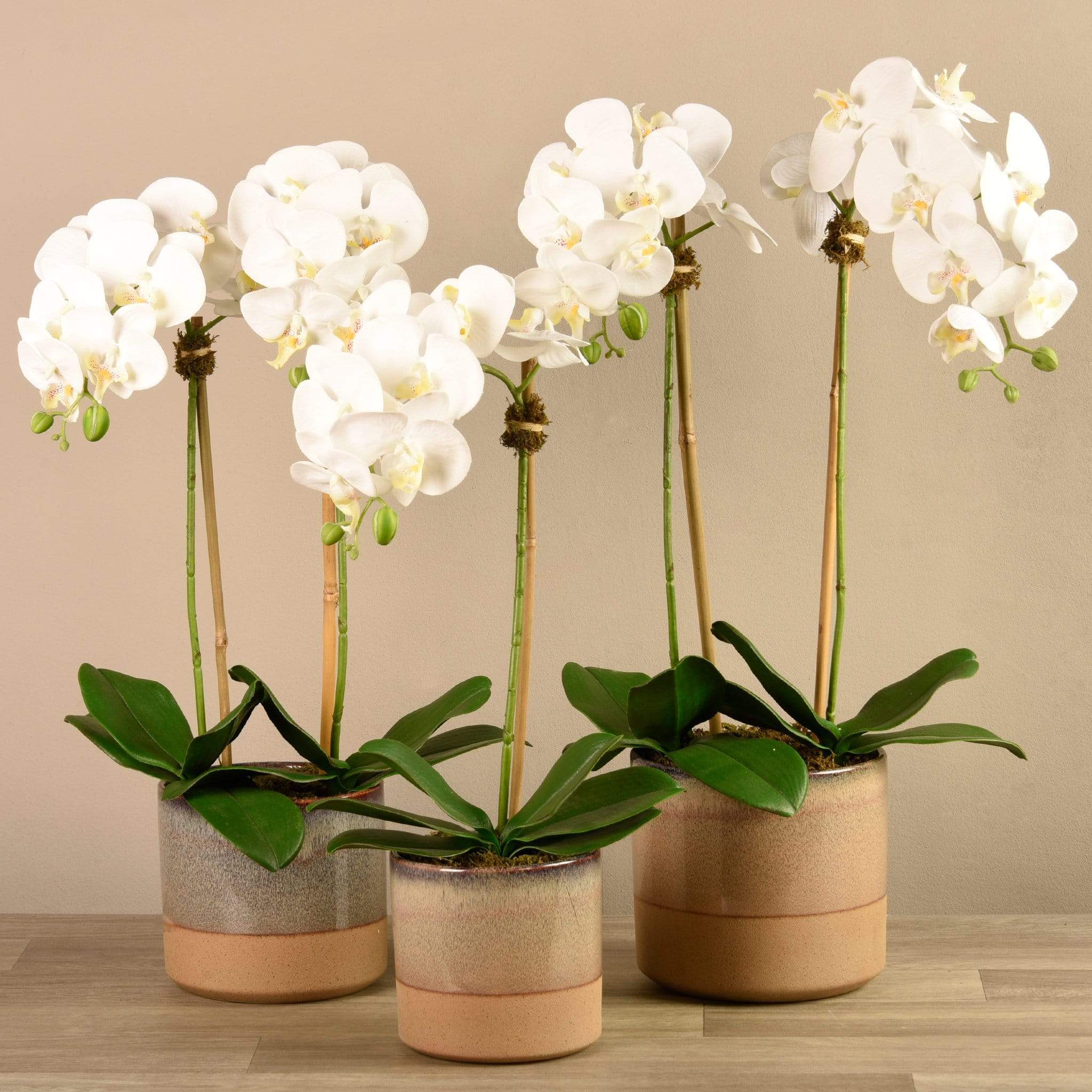 Artificial Orchid Arrangement