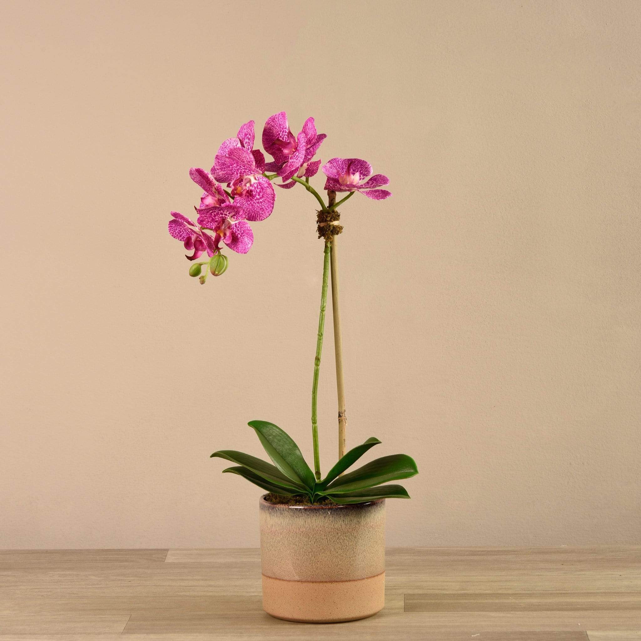 Artificial Orchid Arrangement - Image 10