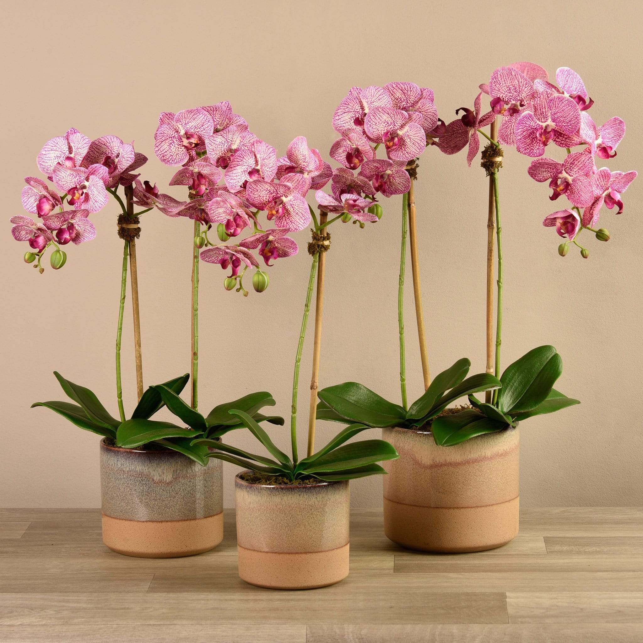 Artificial Orchid Arrangement - Image 13