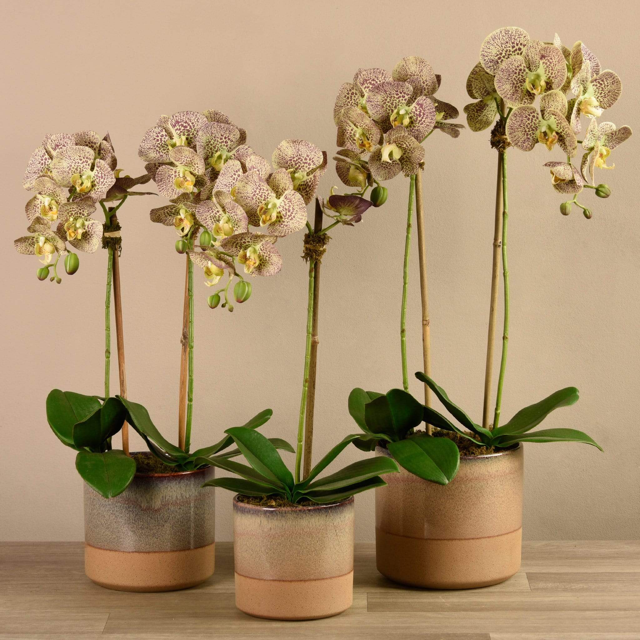 Artificial Orchid Arrangement - Image 17