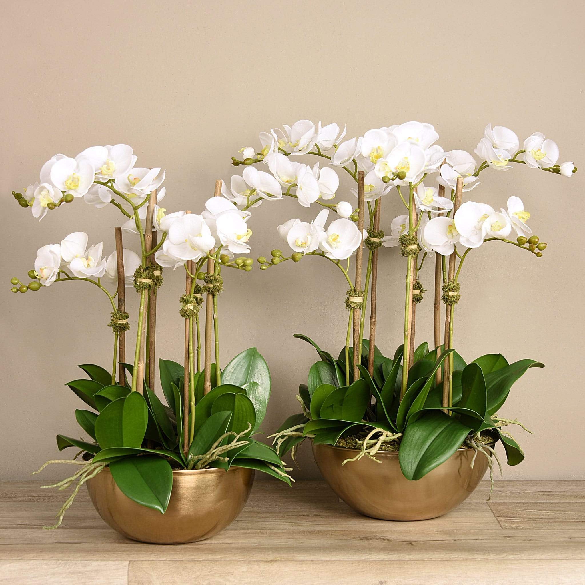 Artificial Orchid Arrangement