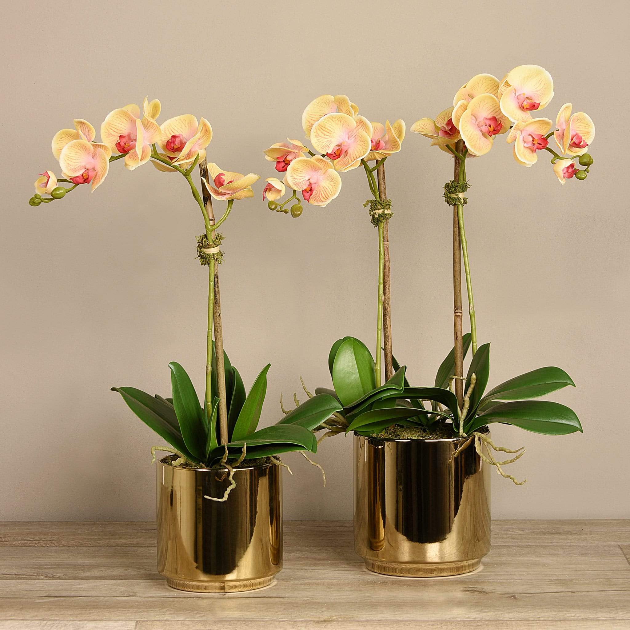 Artificial Orchid Arrangement - Image 4