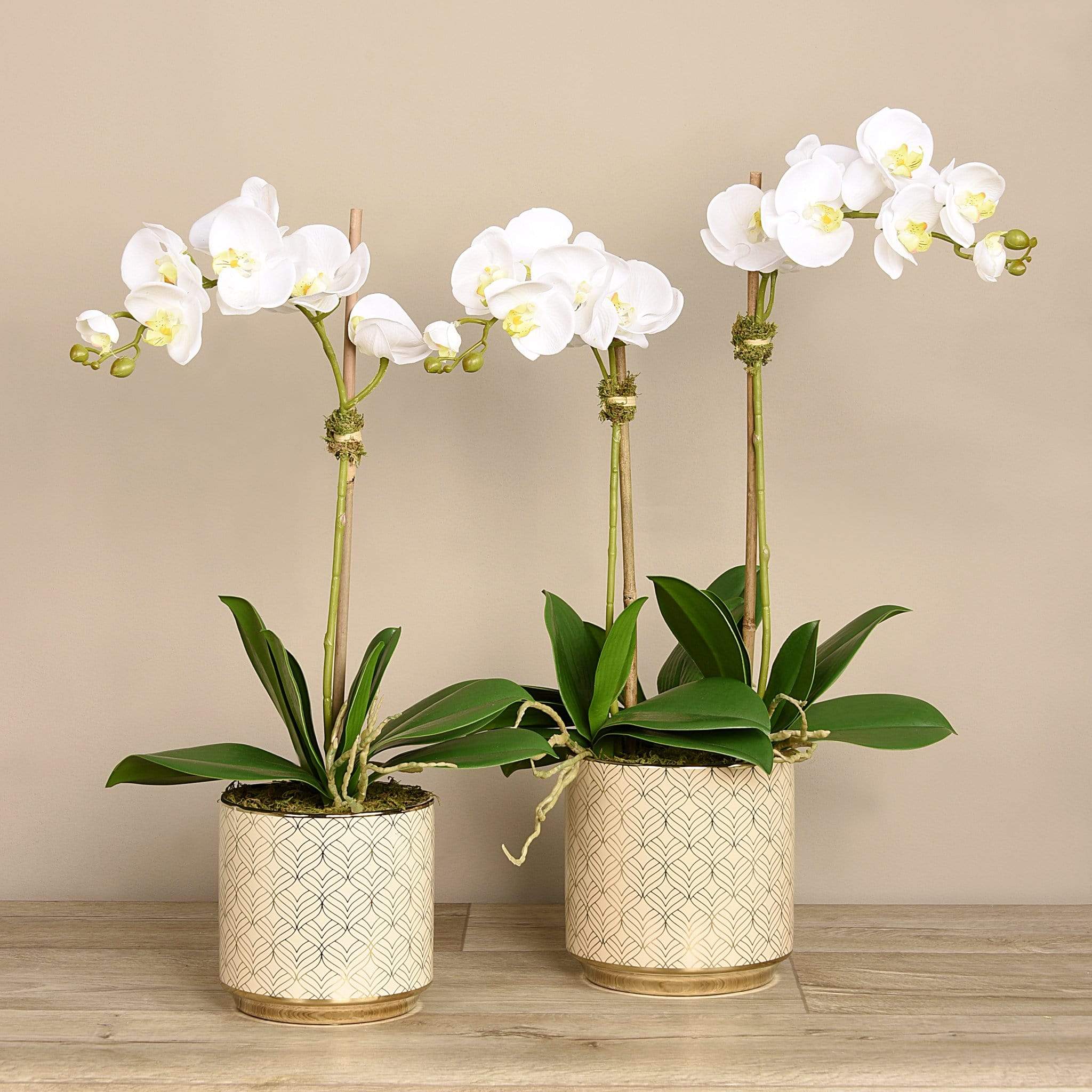 Artificial Orchid Arrangement