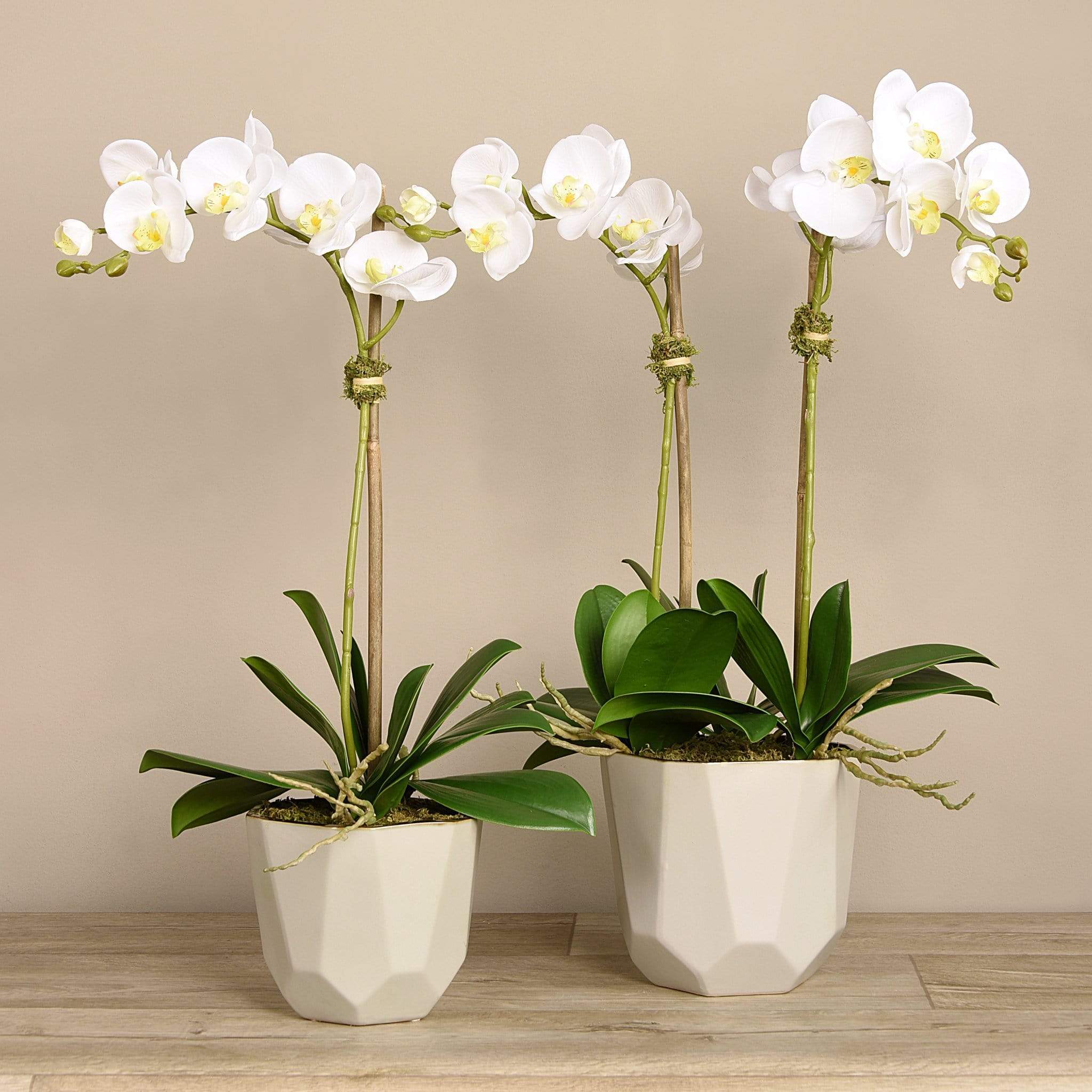 Artificial Orchid Arrangement