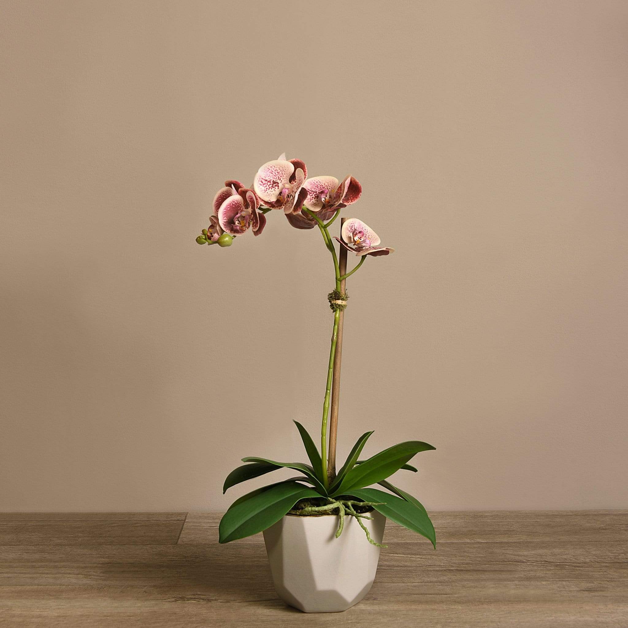 Artificial Orchid Arrangement - Image 10