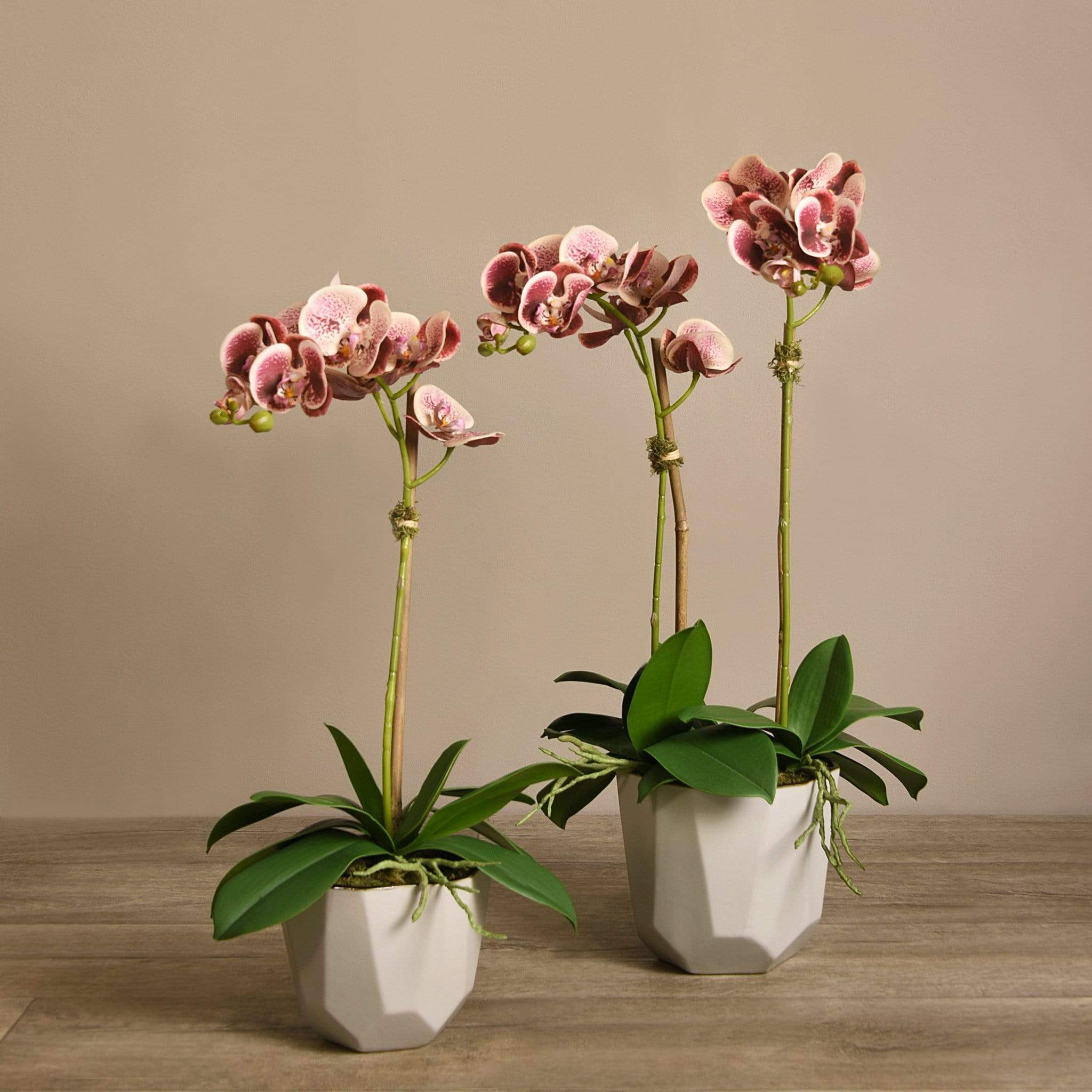 Artificial Orchid Arrangement - Image 12