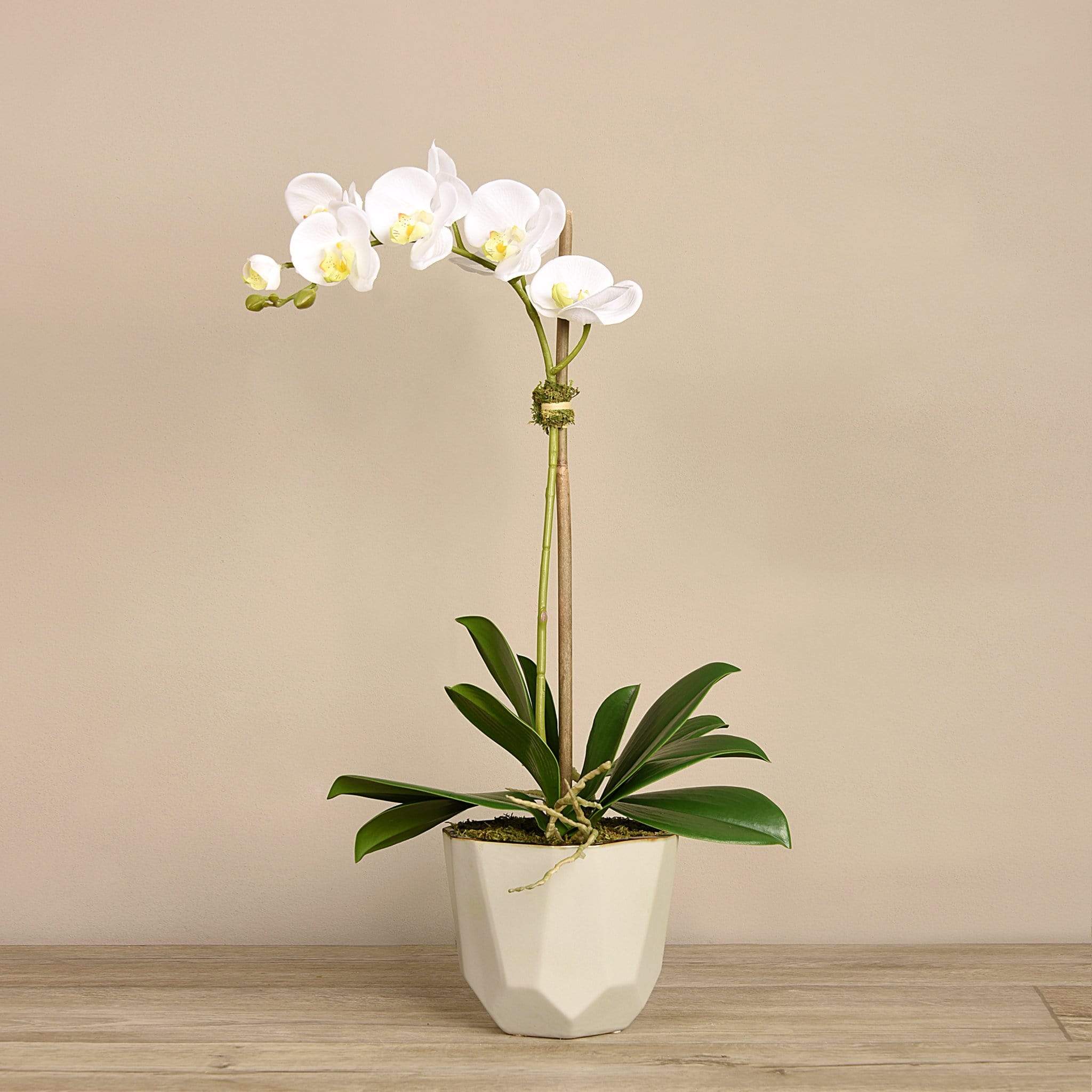 Artificial Orchid Arrangement - Image 2