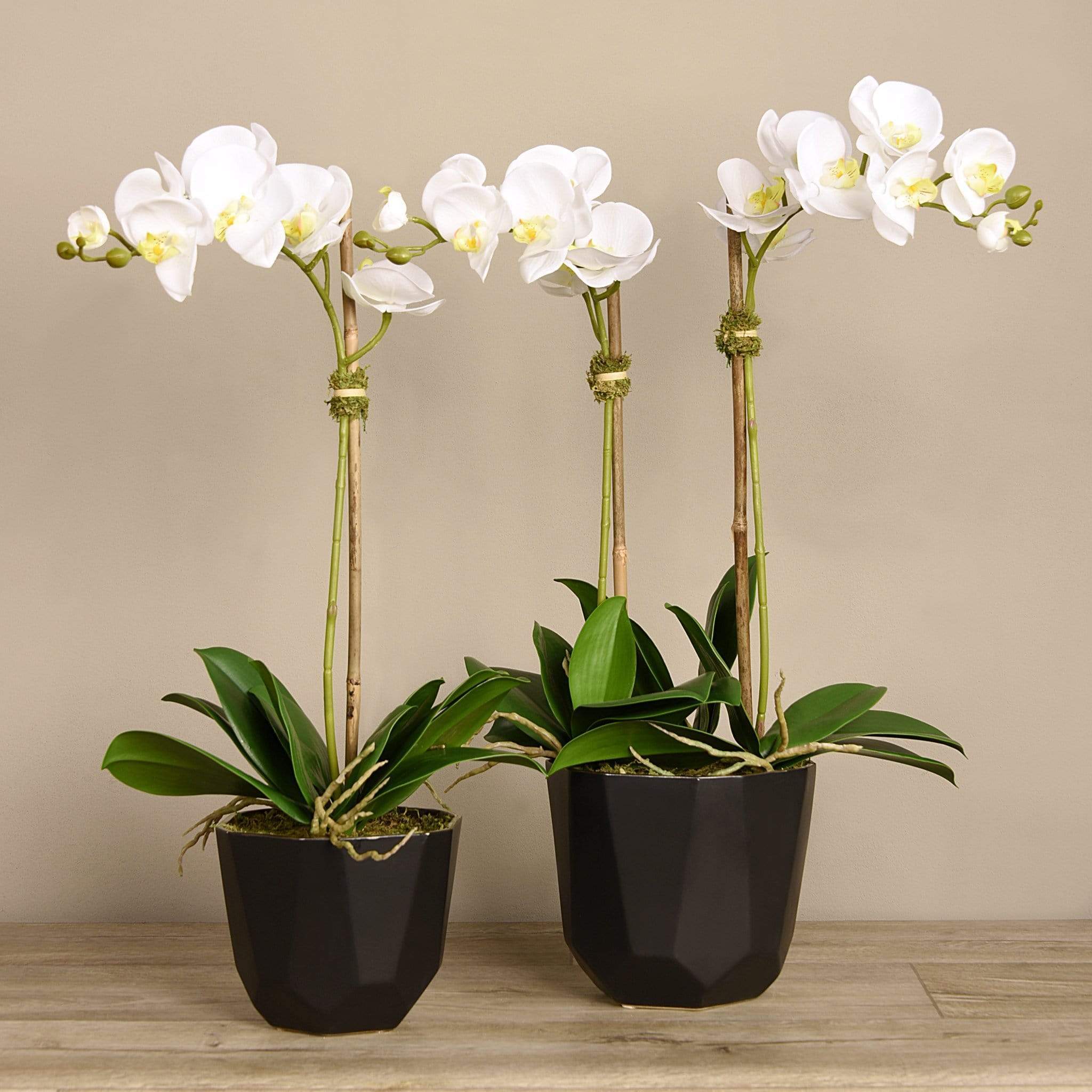 Artificial Orchid Arrangement