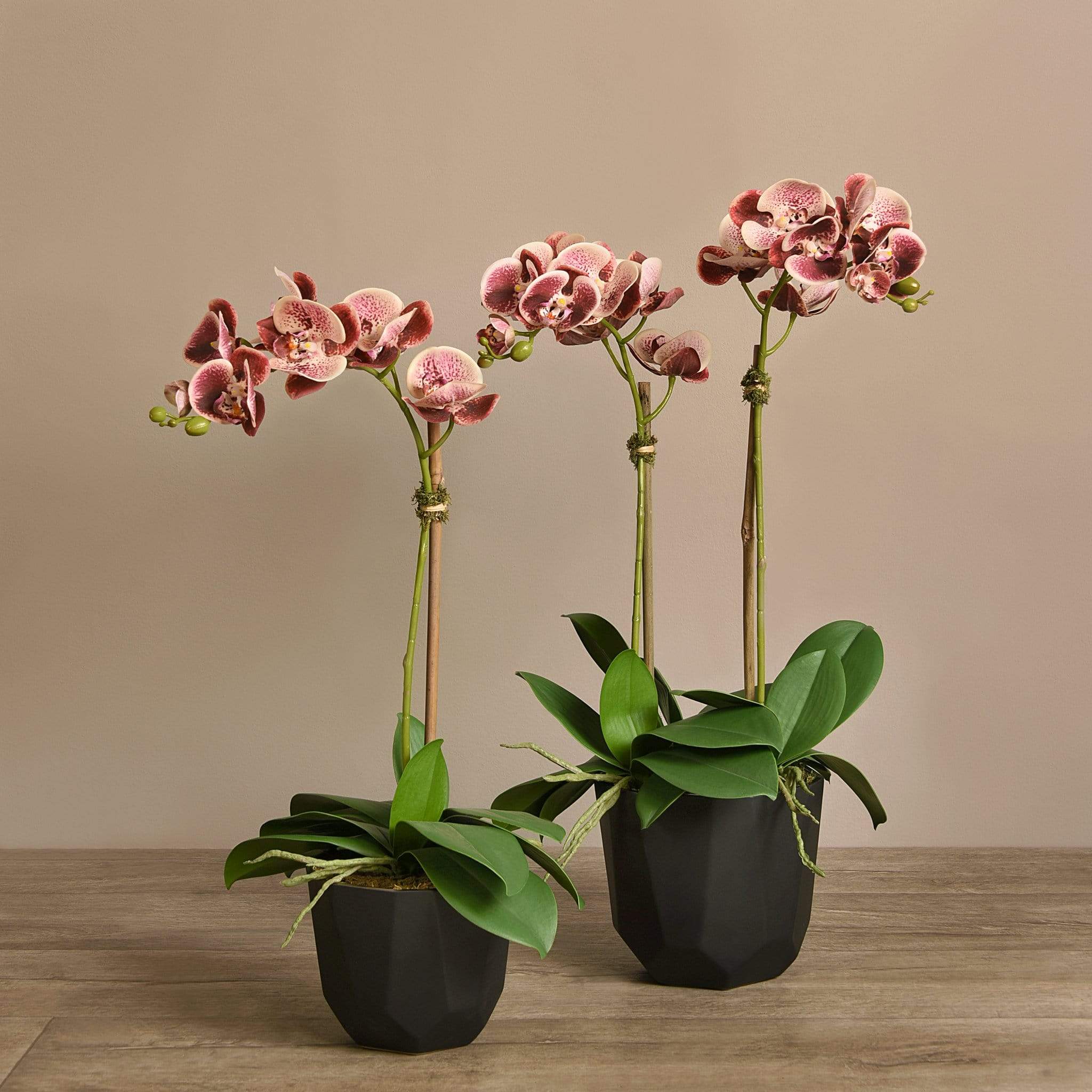 Artificial Orchid Arrangement - Image 10