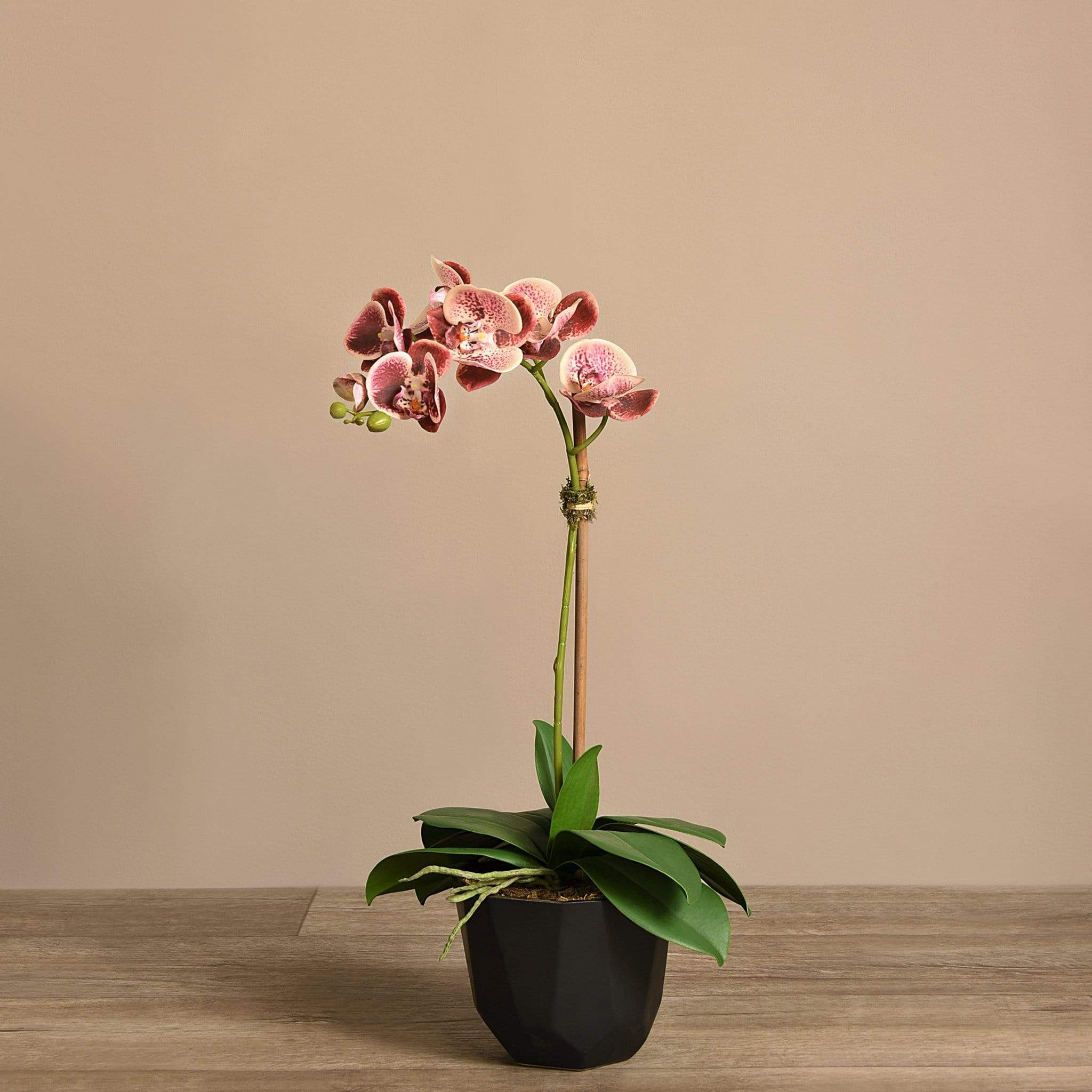 Artificial Orchid Arrangement - Image 11