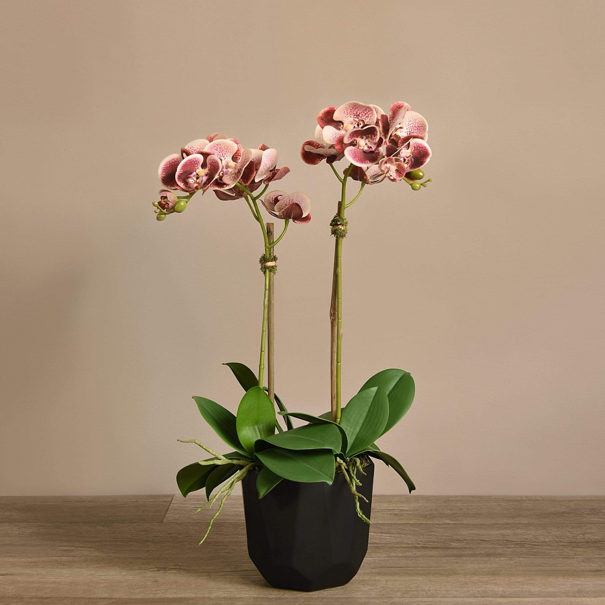 Artificial Orchid Arrangement - Image 12