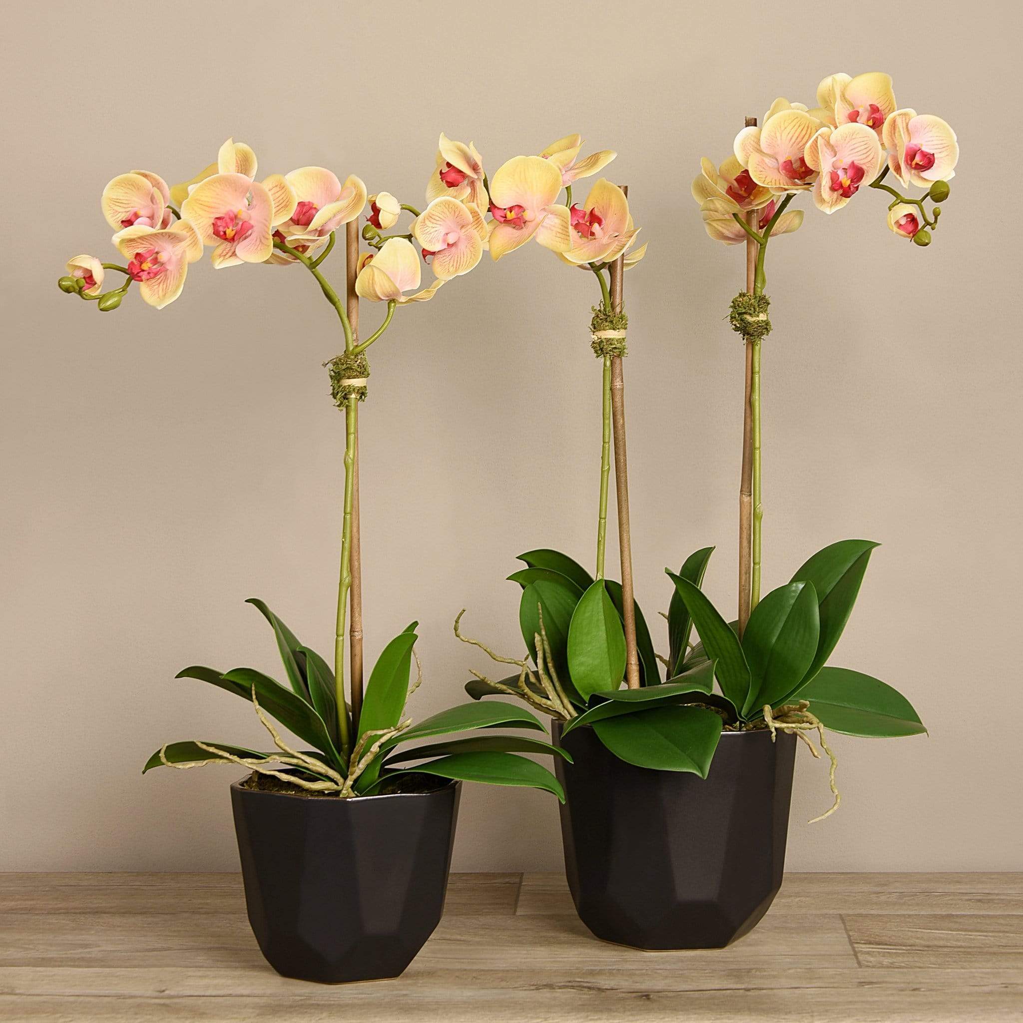 Artificial Orchid Arrangement - Image 4