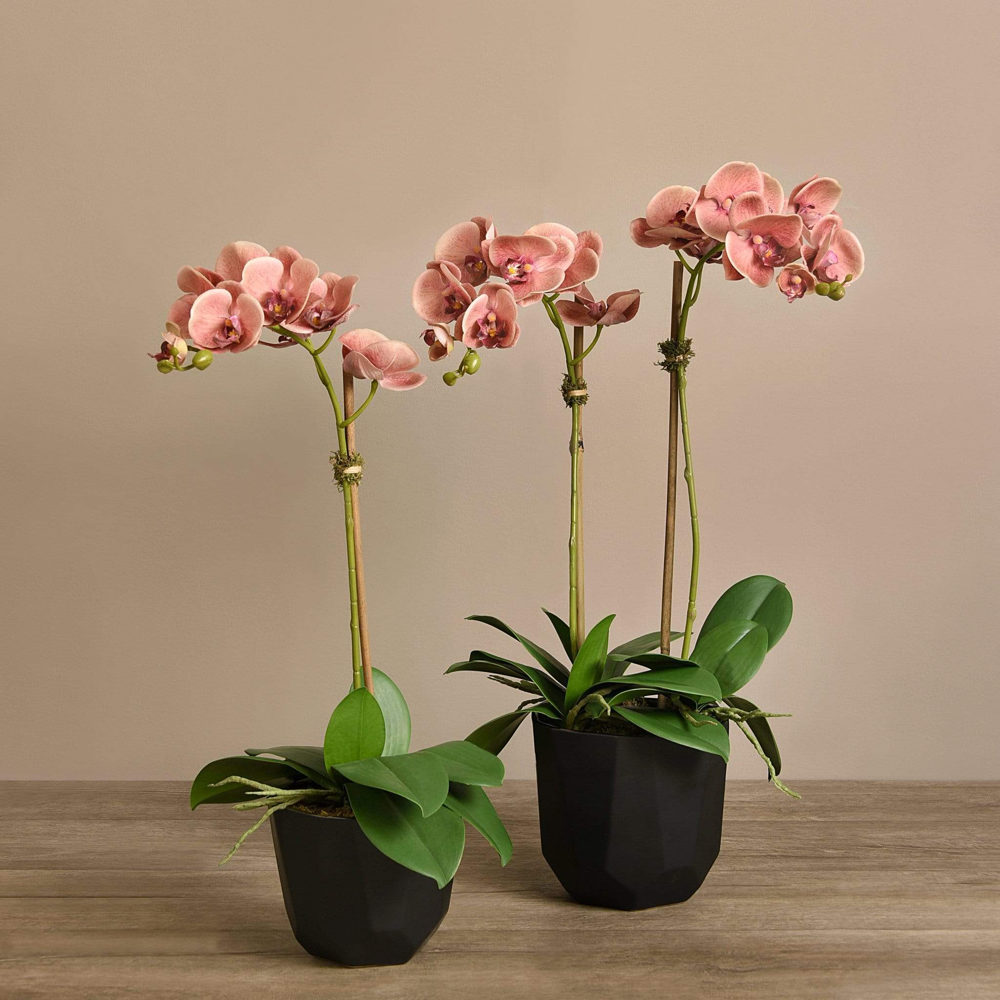 Artificial Orchid Arrangement - Image 7
