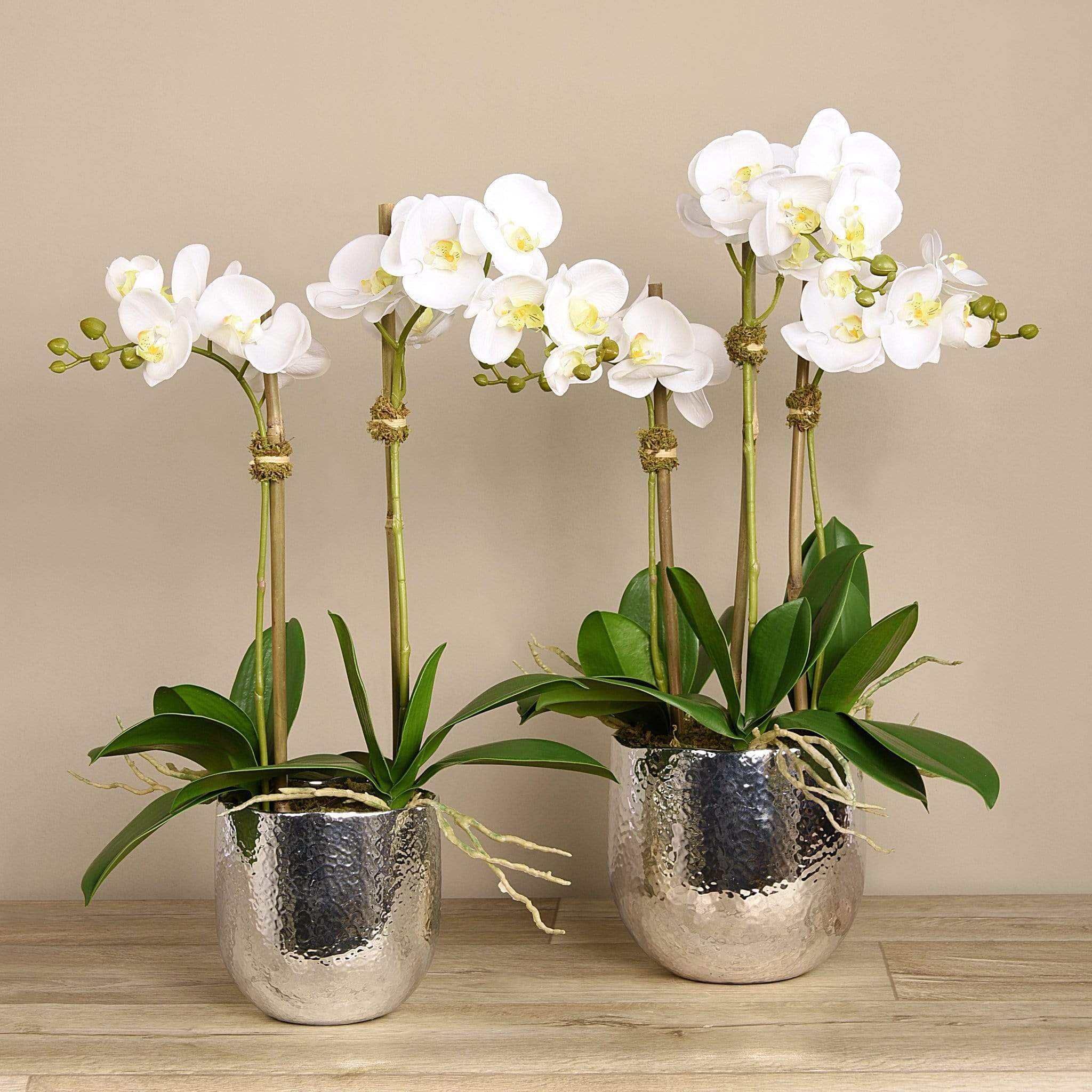 Artificial Orchid Arrangement