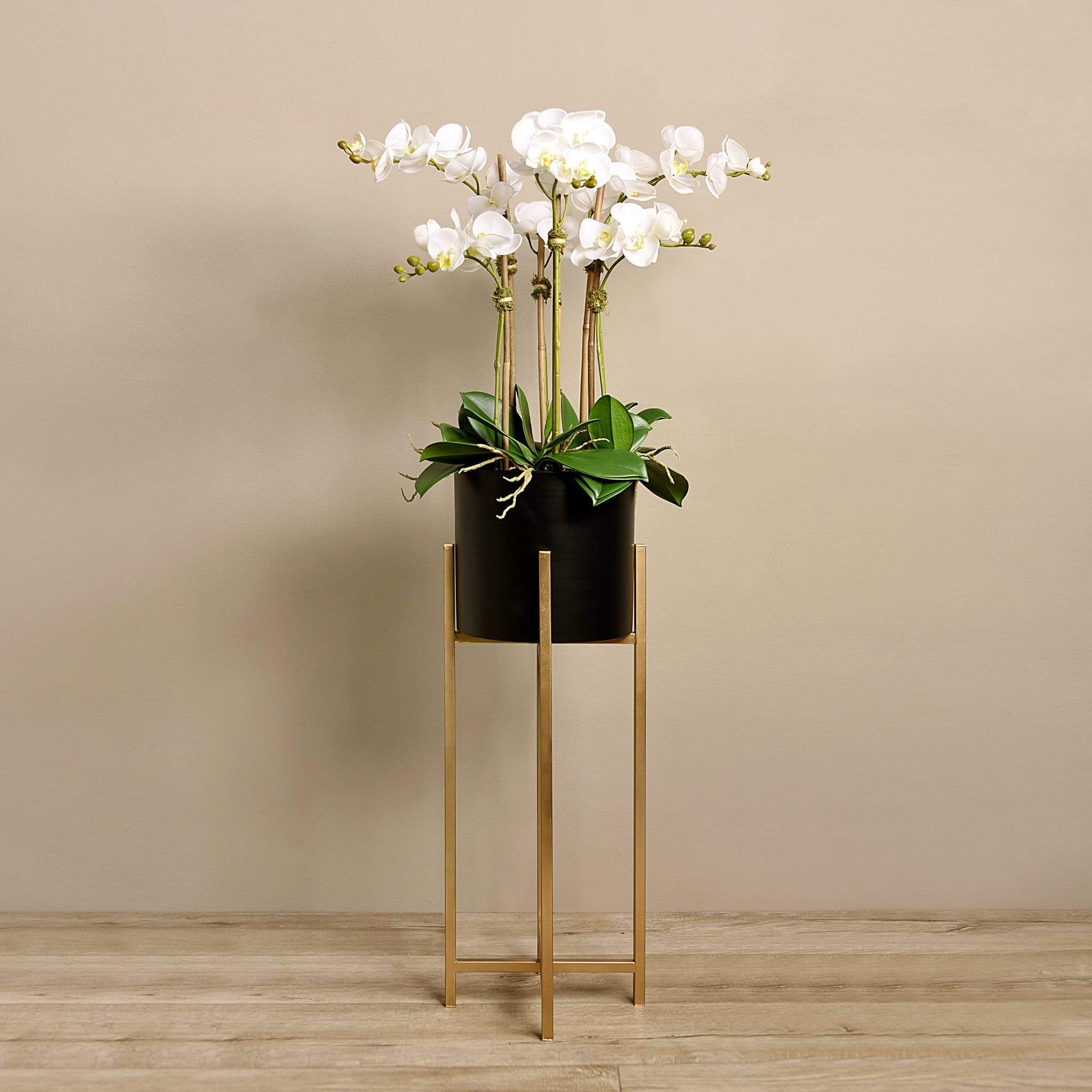 Orchid Arrangement - Image 2
