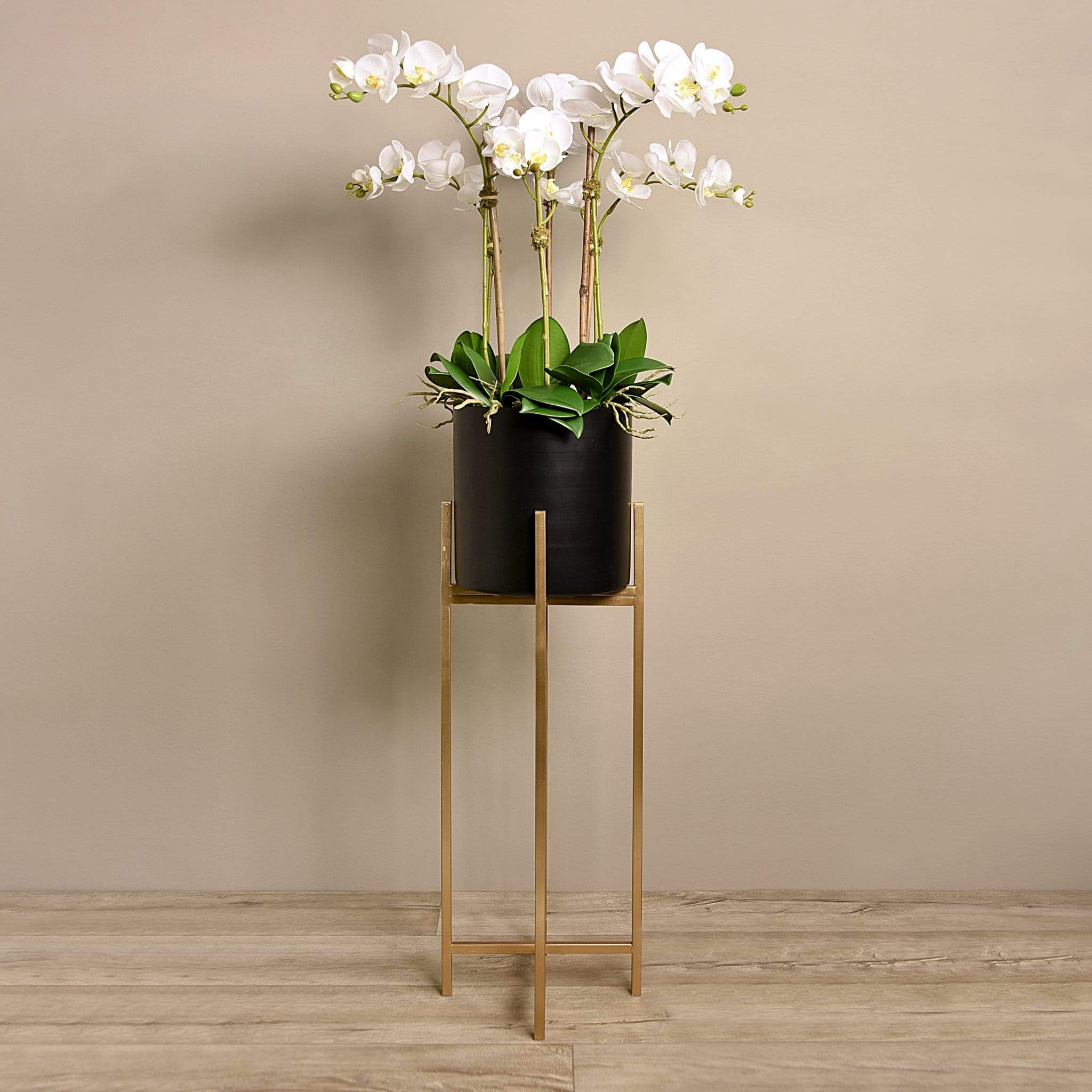 Orchid Arrangement - Image 3