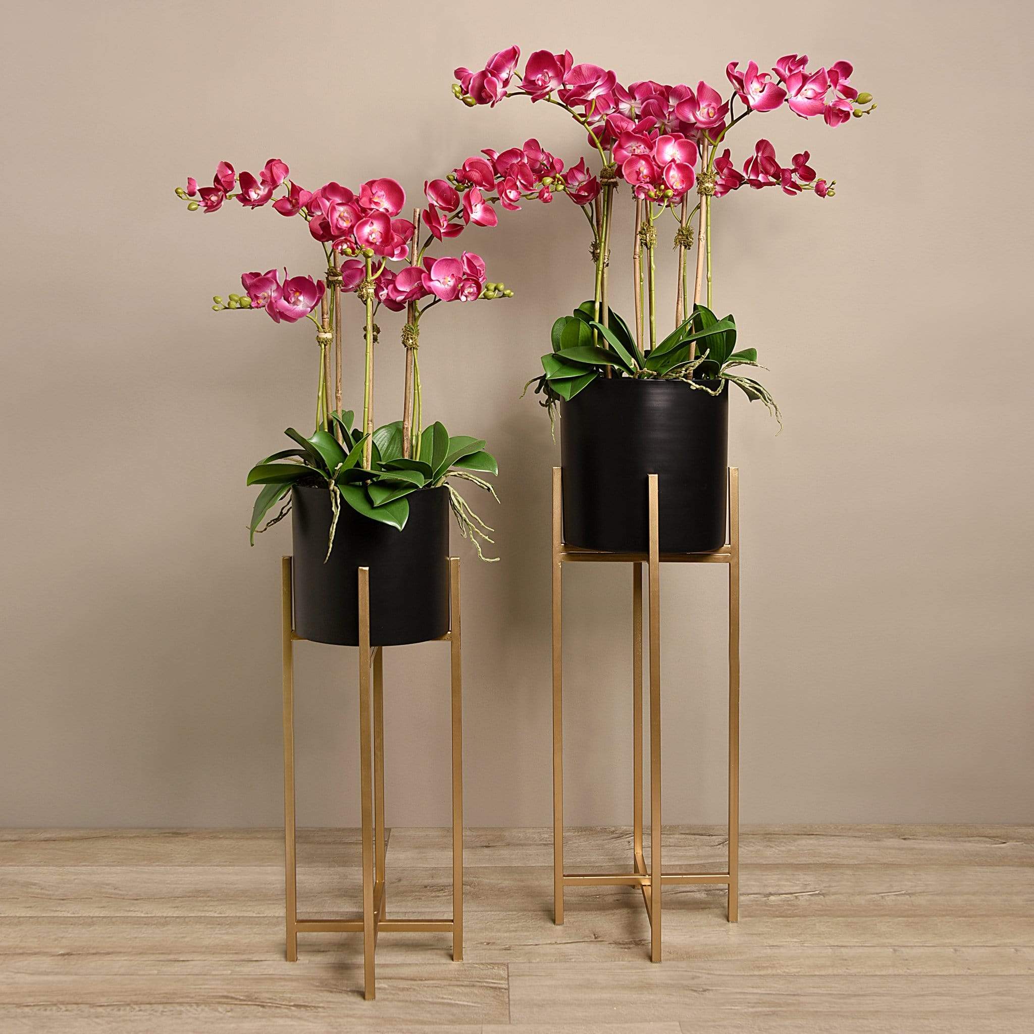 Orchid Arrangement - Image 4
