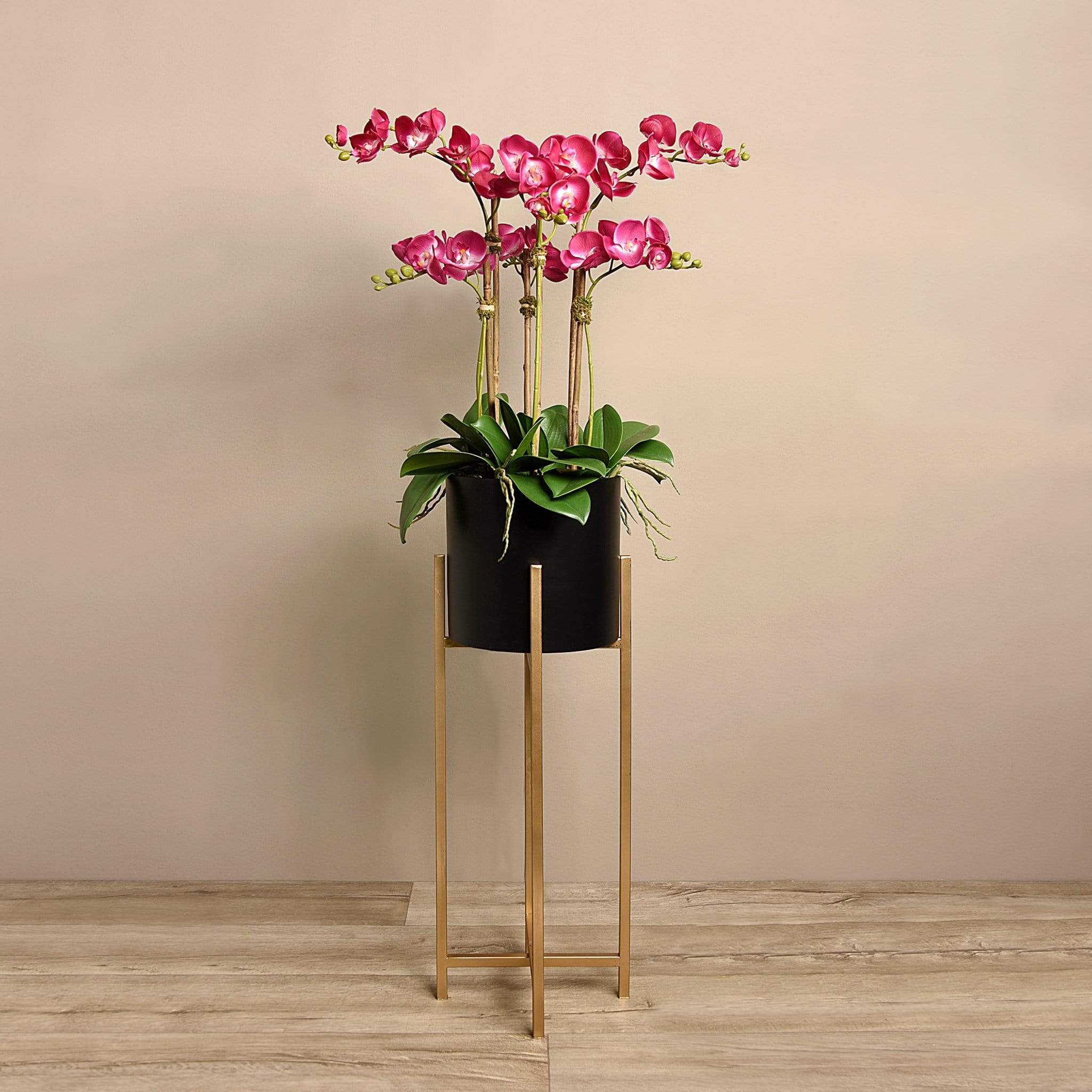 Orchid Arrangement - Image 5