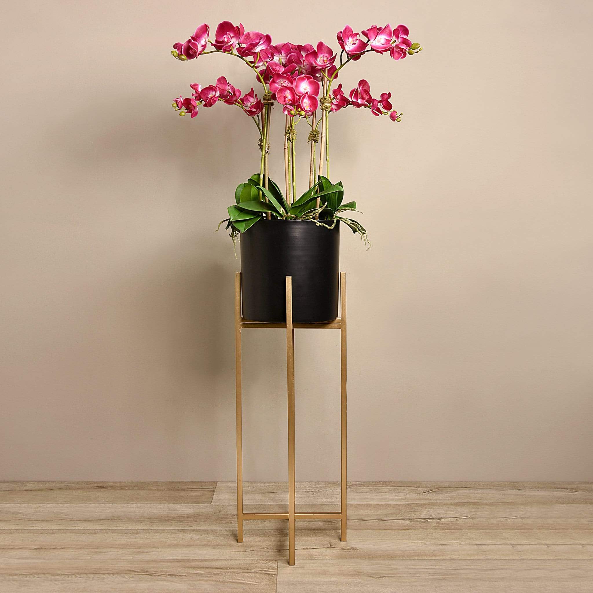 Orchid Arrangement - Image 6