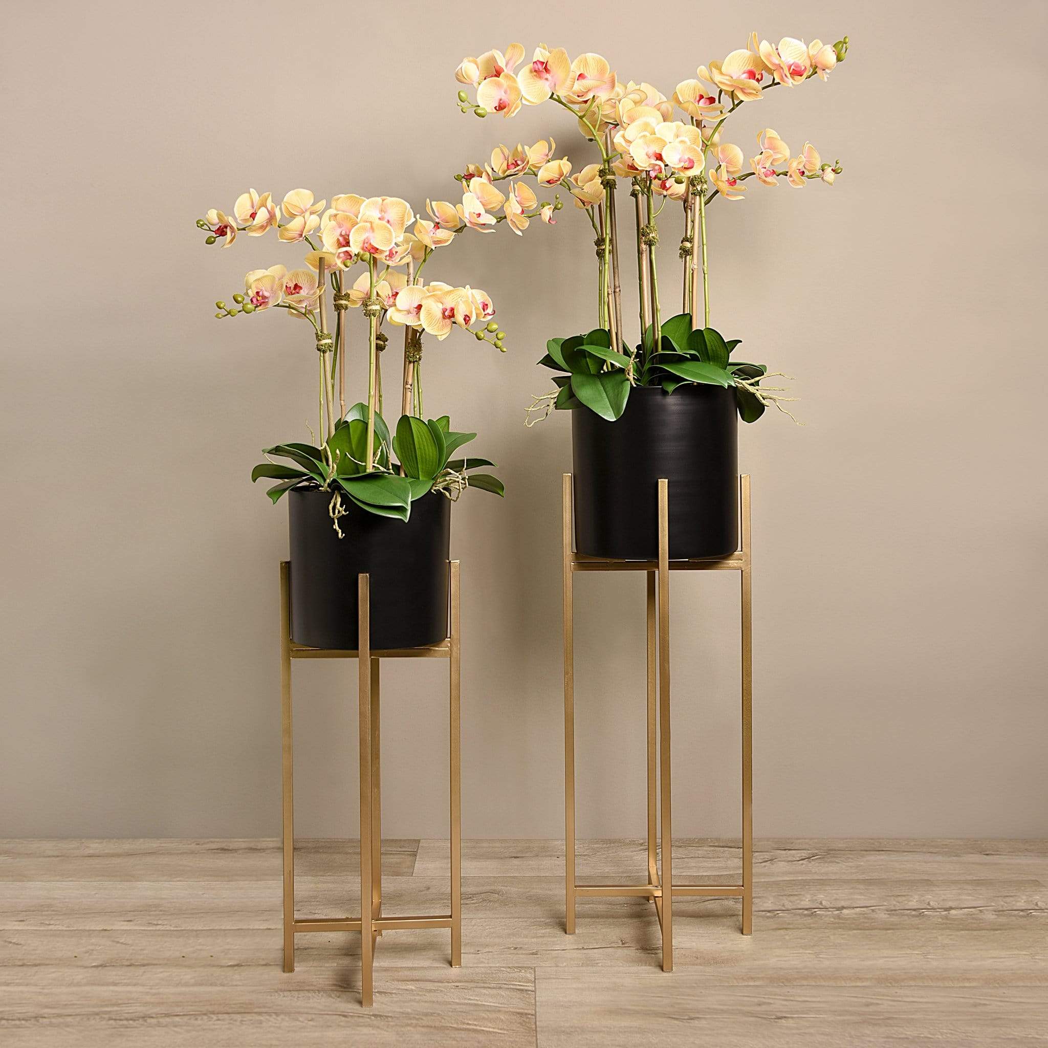 Orchid Arrangement - Image 7