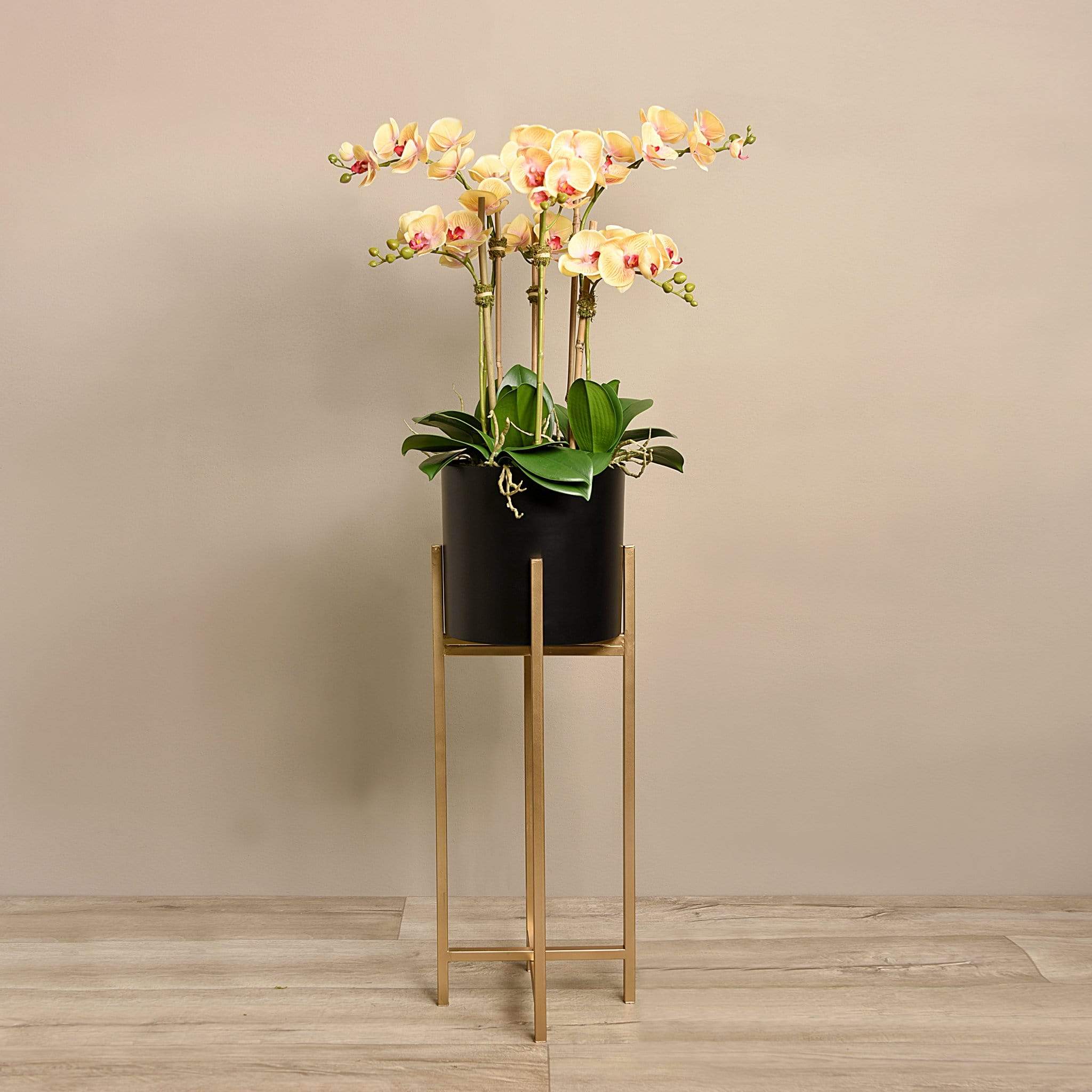 Orchid Arrangement - Image 8