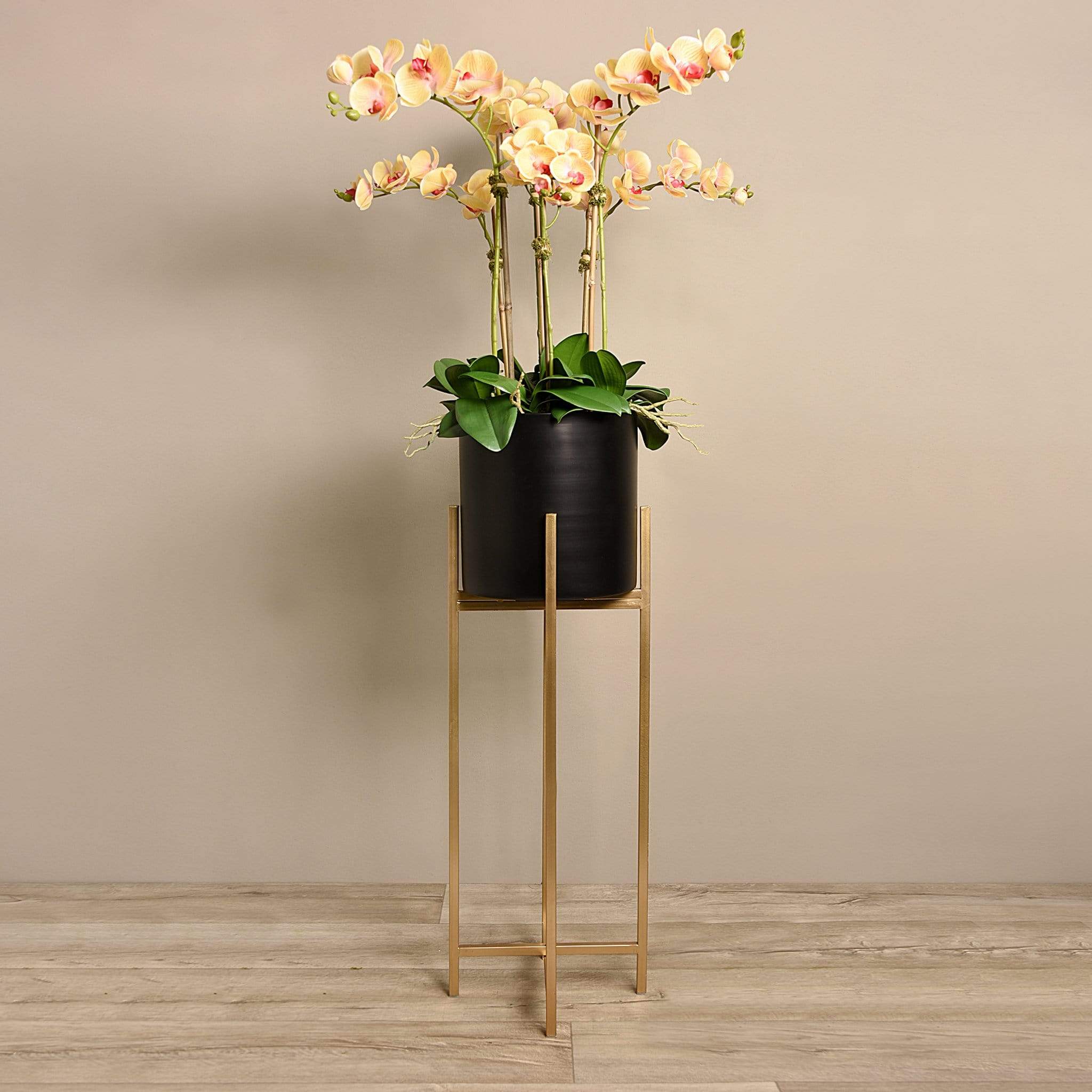 Orchid Arrangement - Image 9