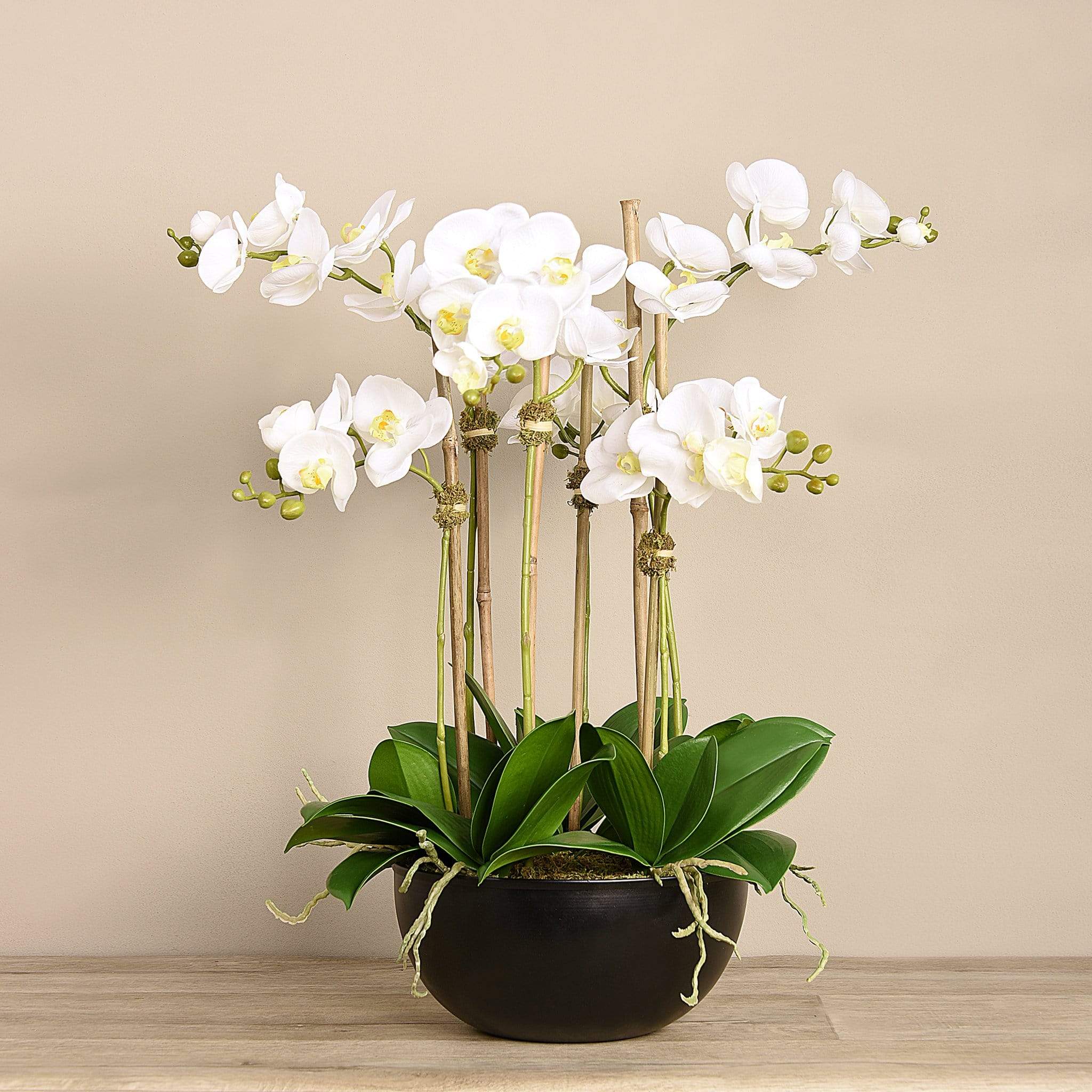 Orchid Arrangement - Image 2