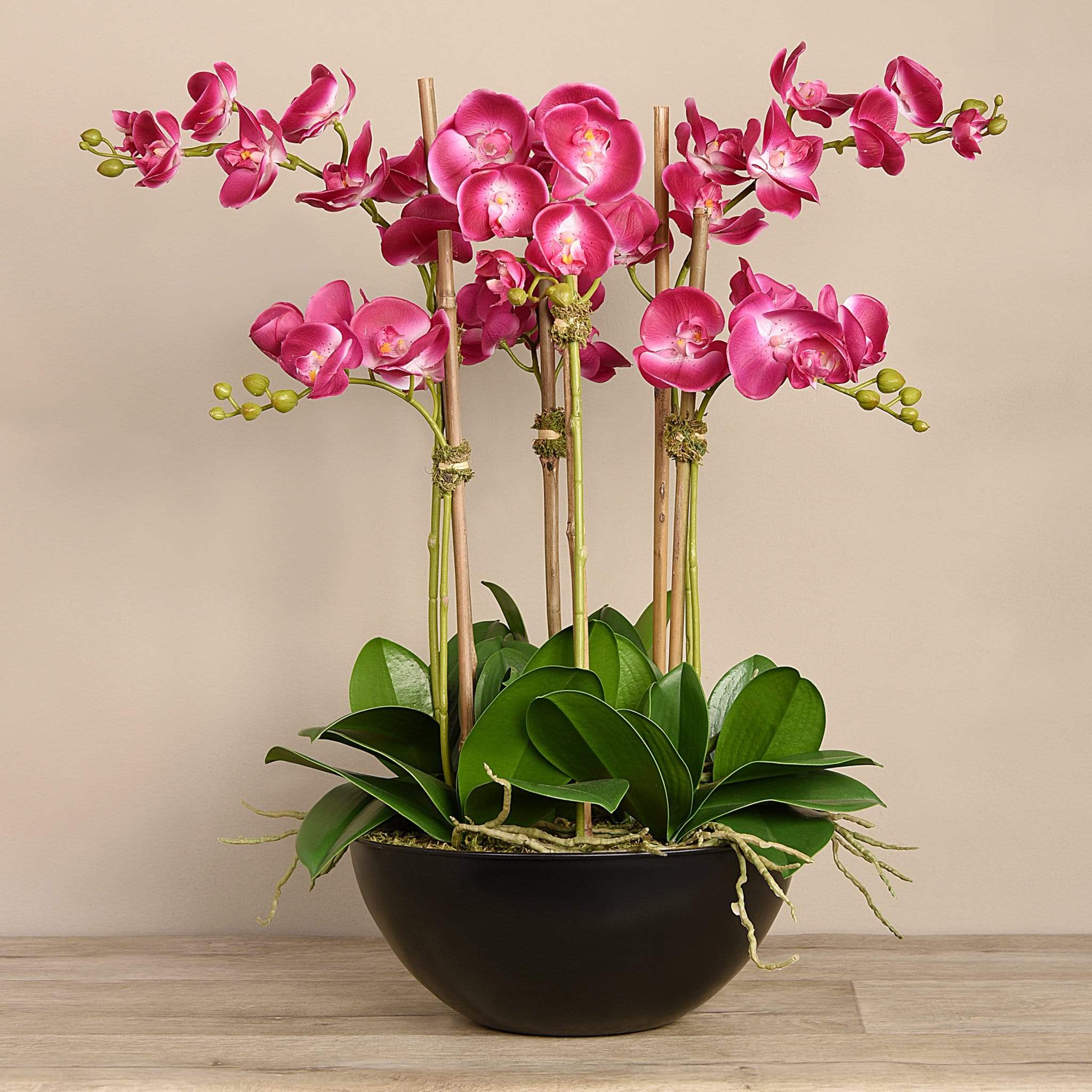 Orchid Arrangement - Image 6