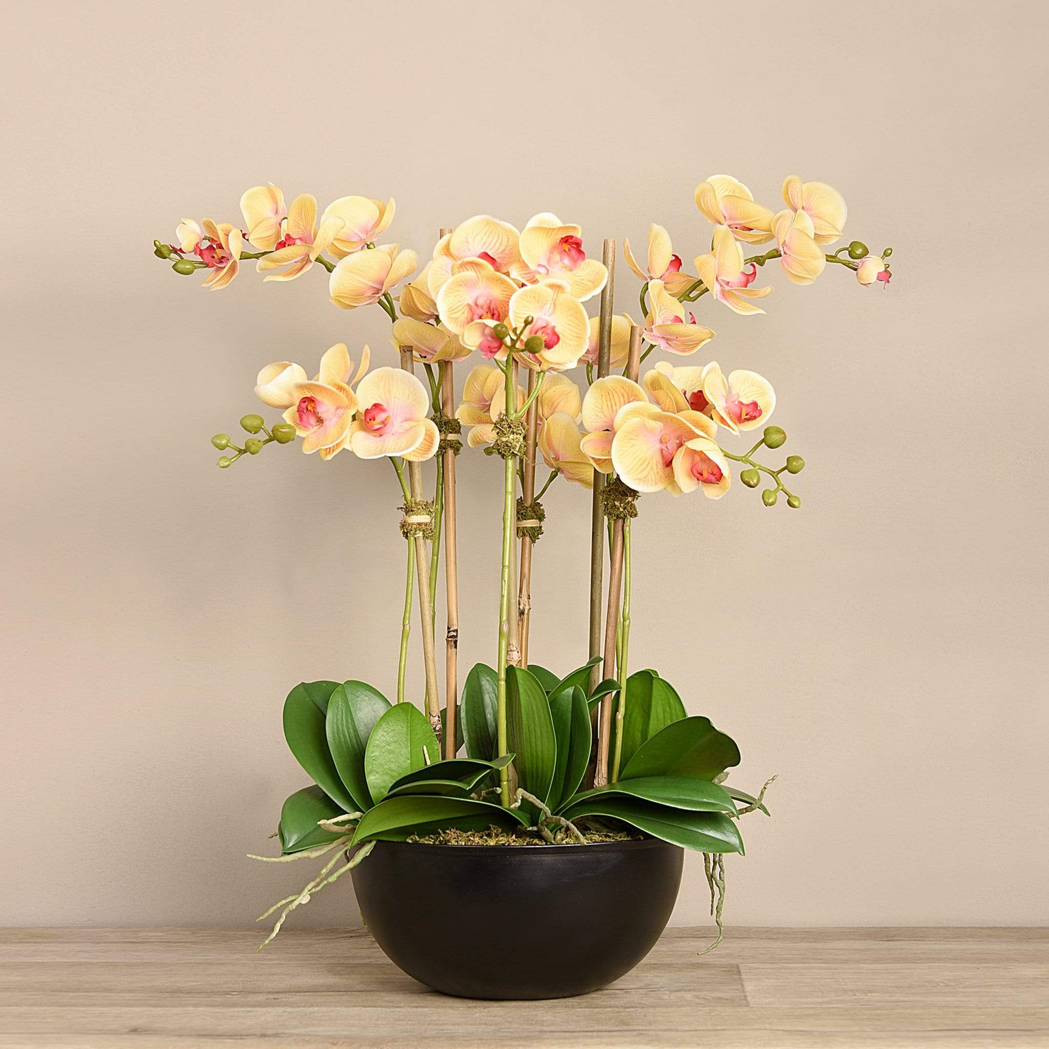 Orchid Arrangement - Image 8