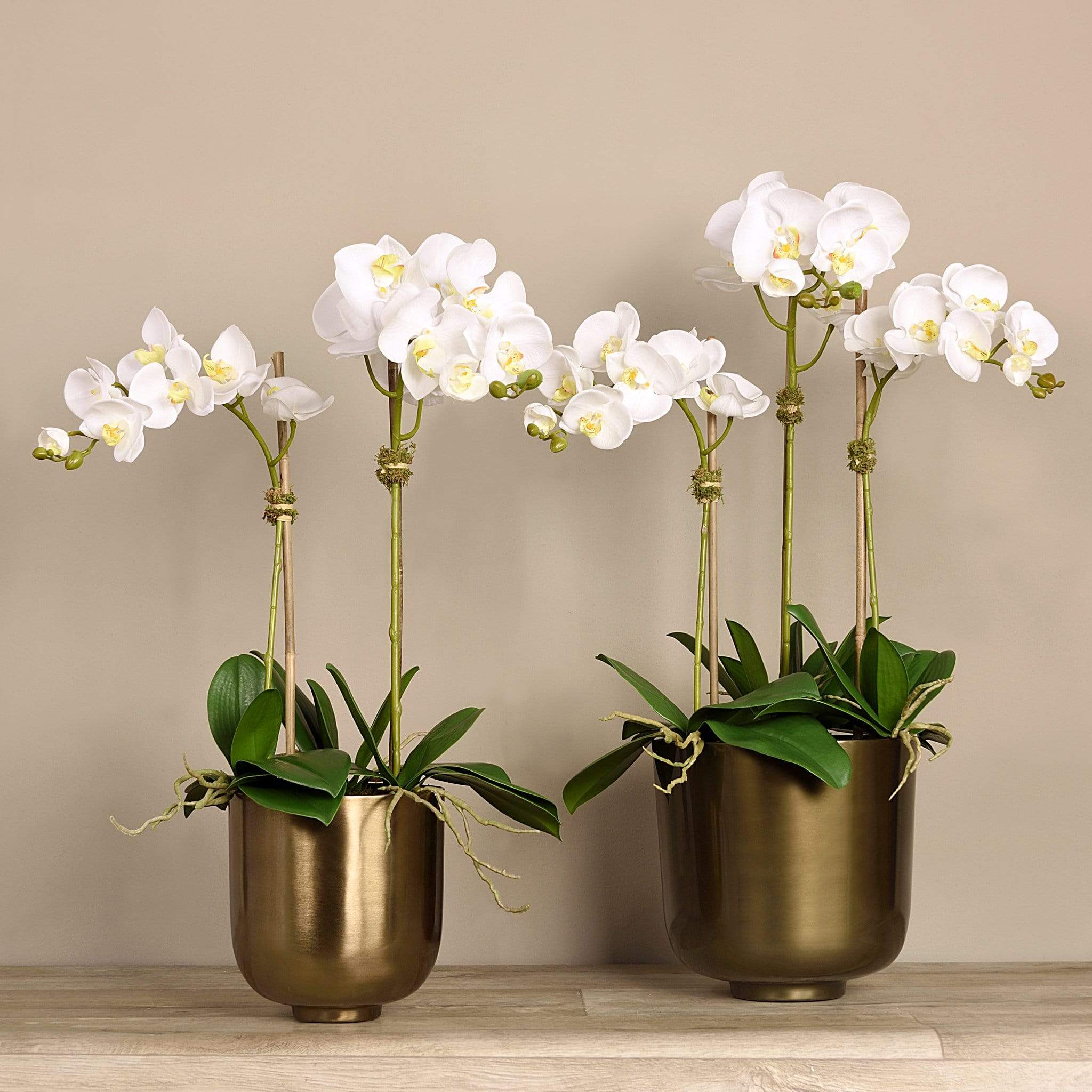 Artificial Orchid Arrangement