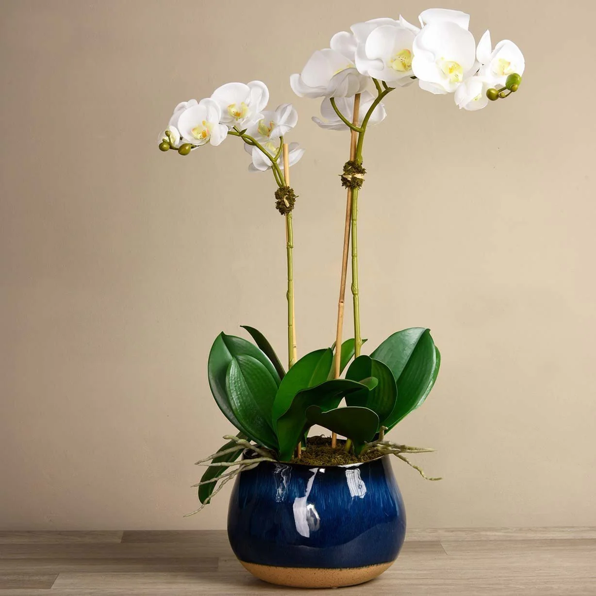 Santa Fe Orchid Arrangement - Image 5