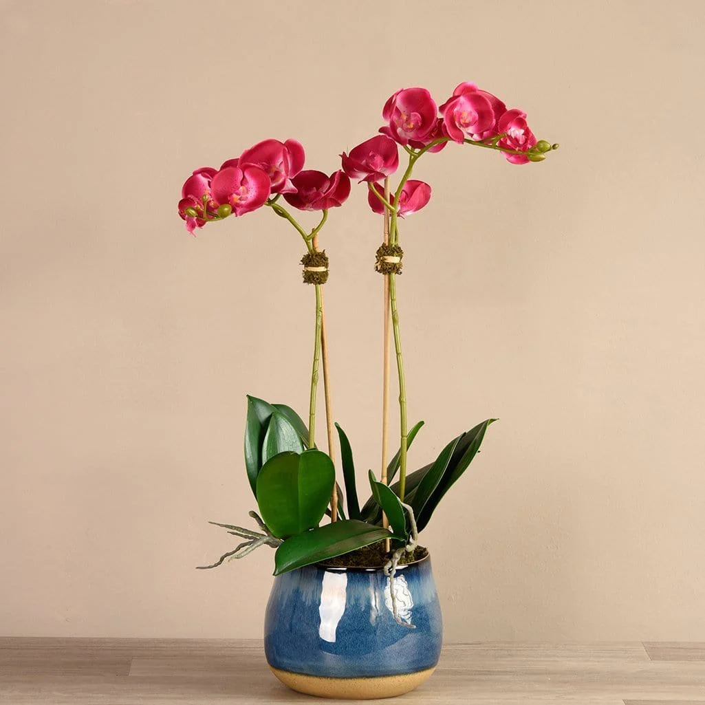 Santa Fe Orchid Arrangement - Image 7