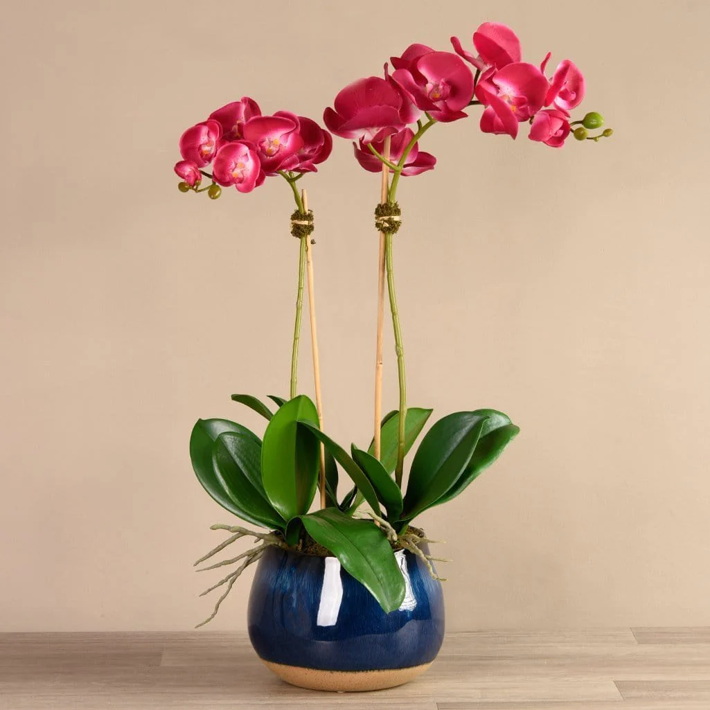 Santa Fe Orchid Arrangement - Image 8