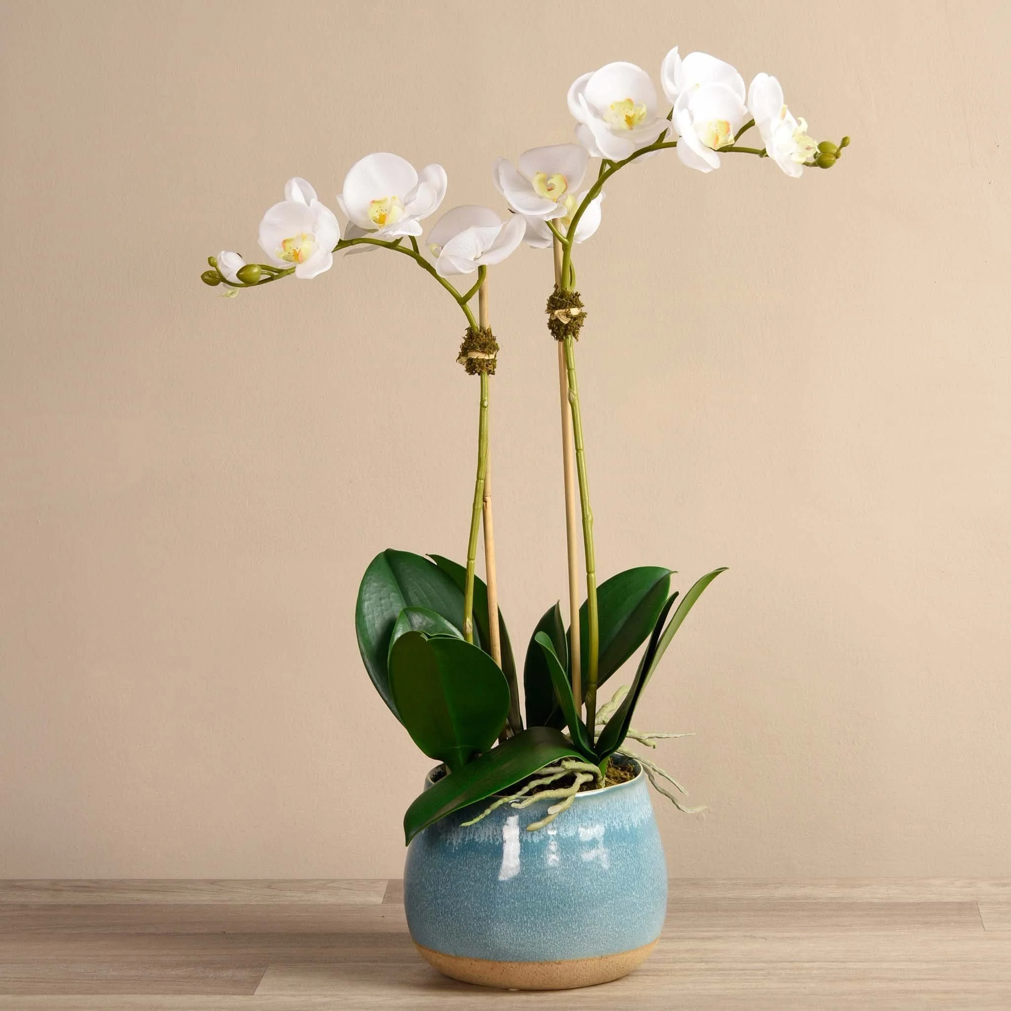 Santa Fe Orchid Arrangement - Image 5
