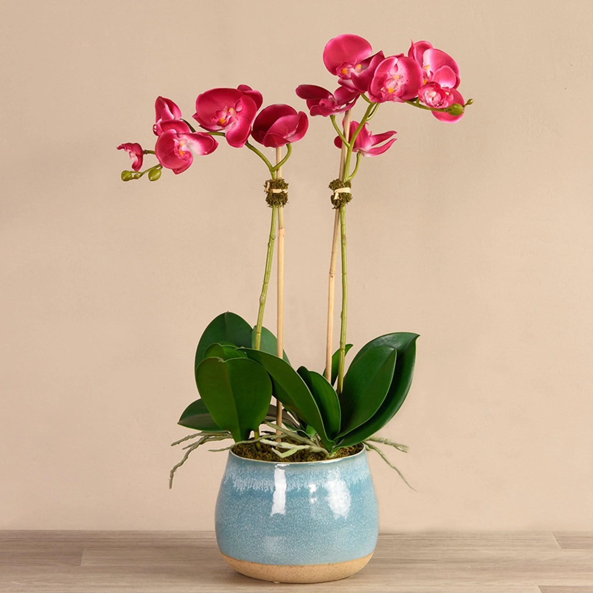 Santa Fe Orchid Arrangement - Image 6
