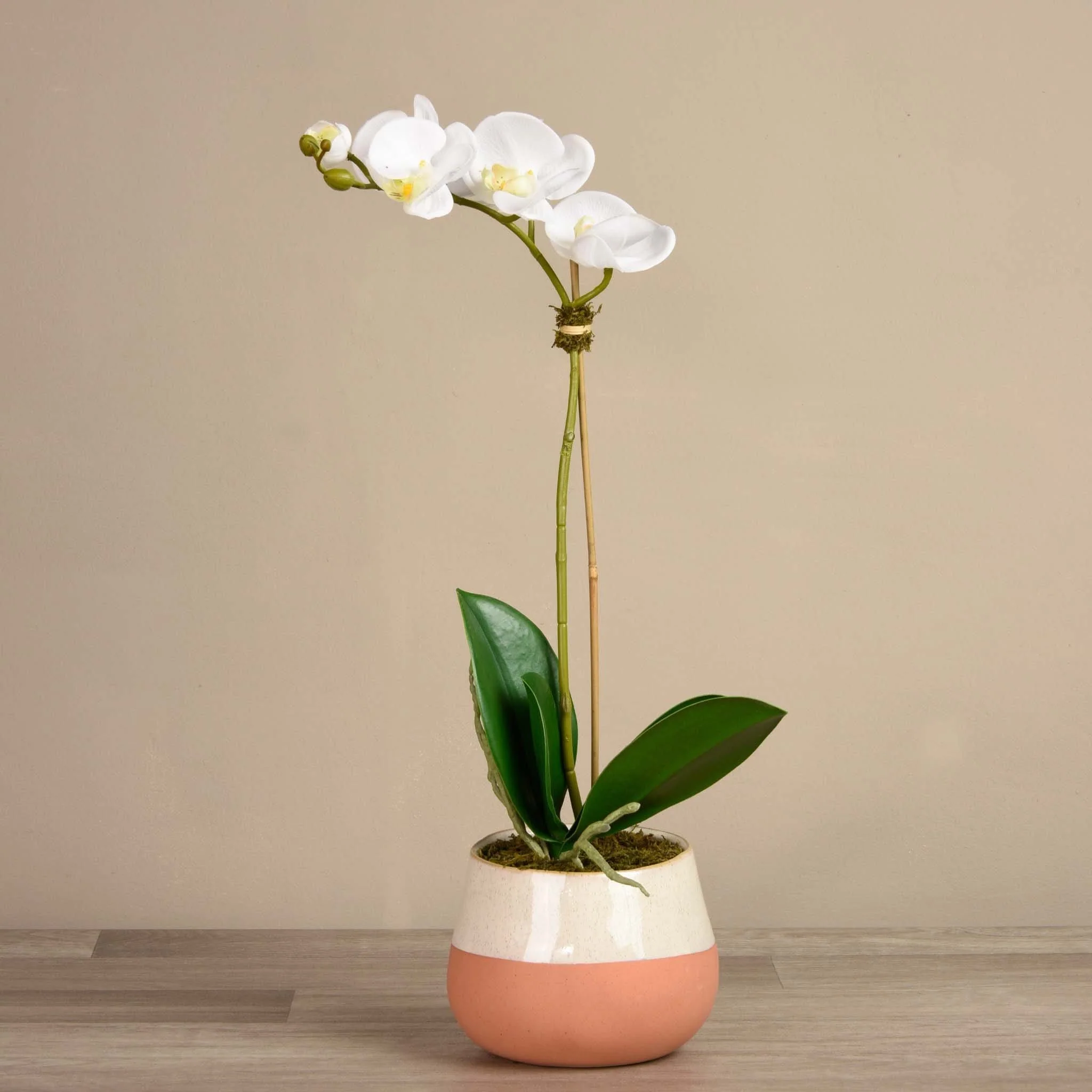 Santa Fe Orchid Arrangement - Image 3