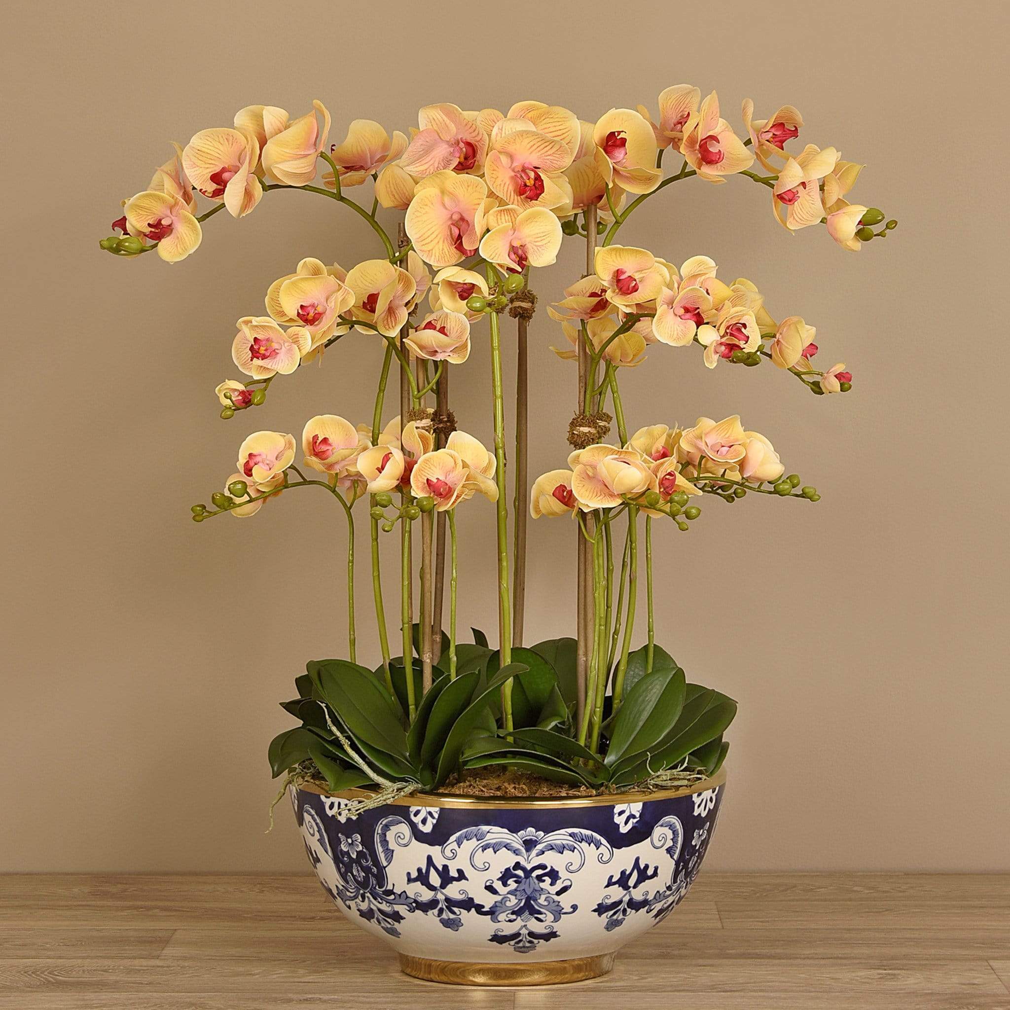 Orchid Arrangement in Ceramic Vase - Image 3