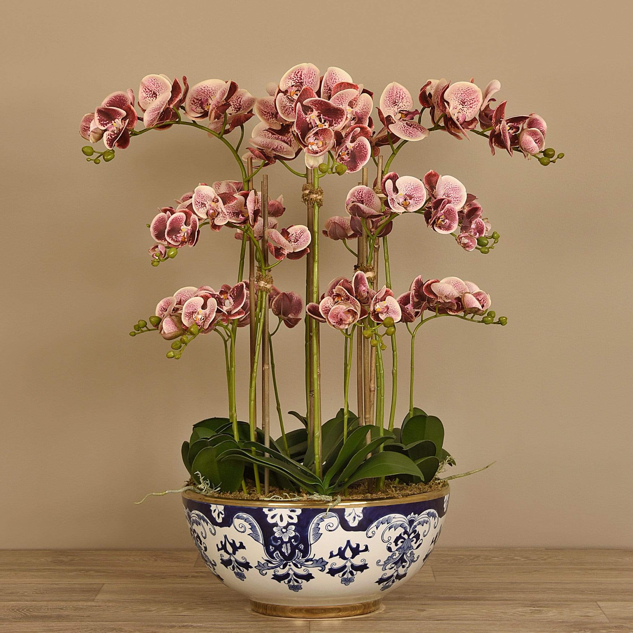 Orchid Arrangement in Ceramic Vase - Image 5