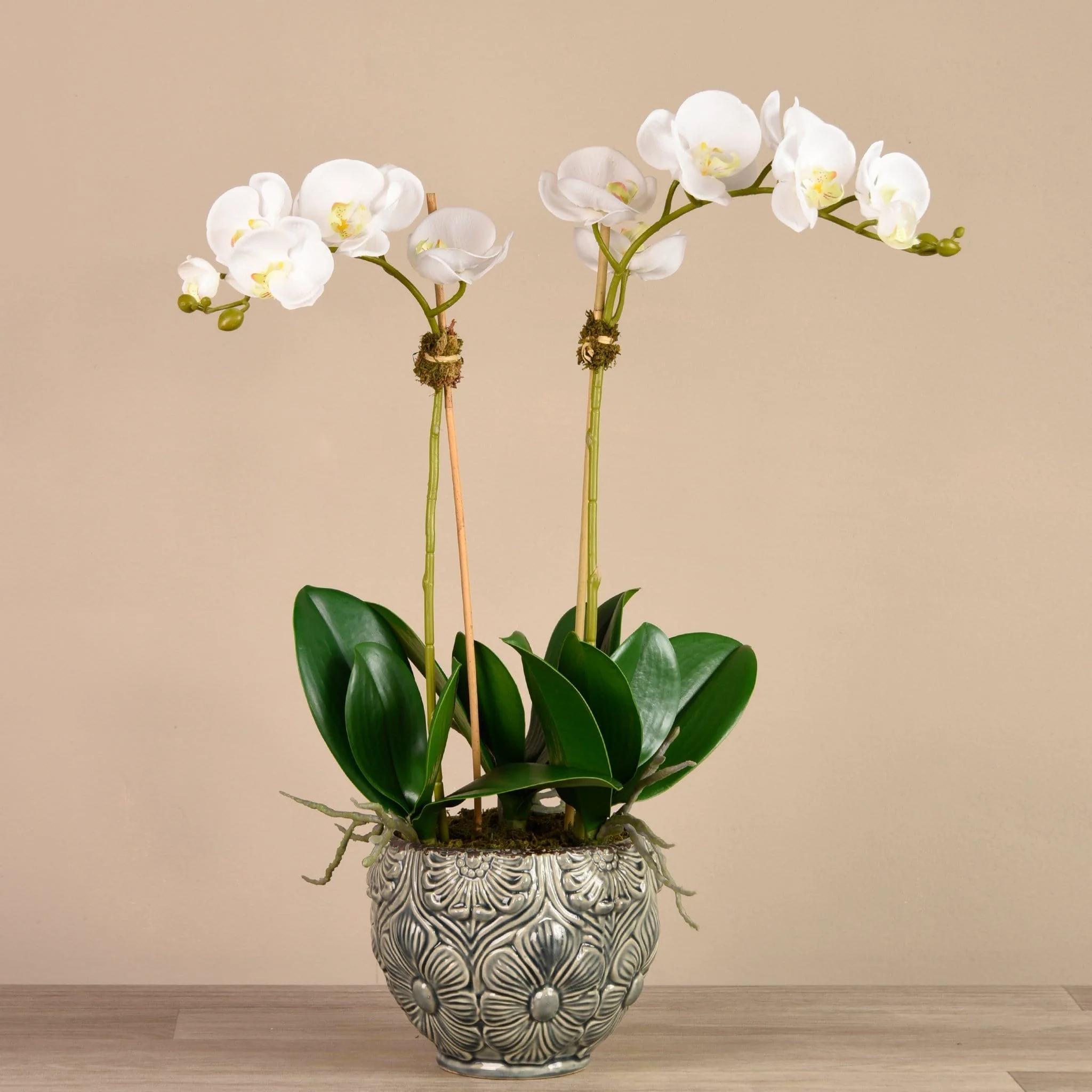 Orchid Arrangement in Ceramic Vase - Image 3