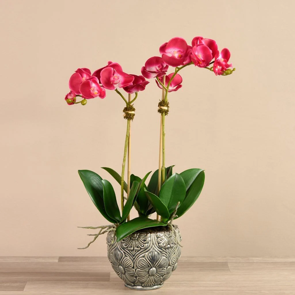 Orchid Arrangement in Ceramic Vase - Image 4