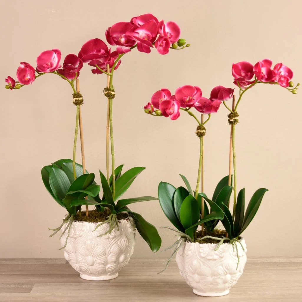 Orchid Arrangement in Ceramic Vase - Image 3