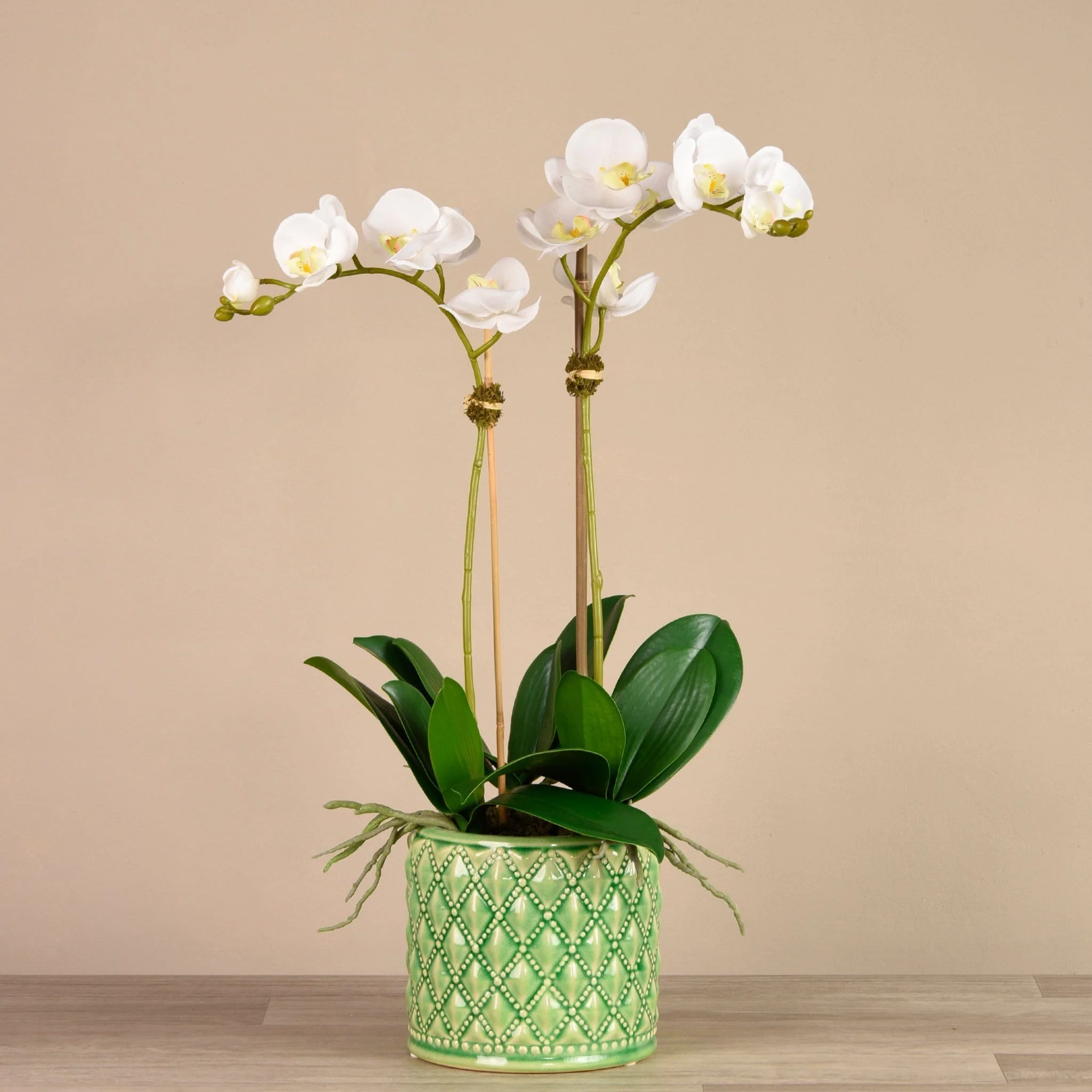 Orchid Arrangement in Ceramic Vase - Image 5