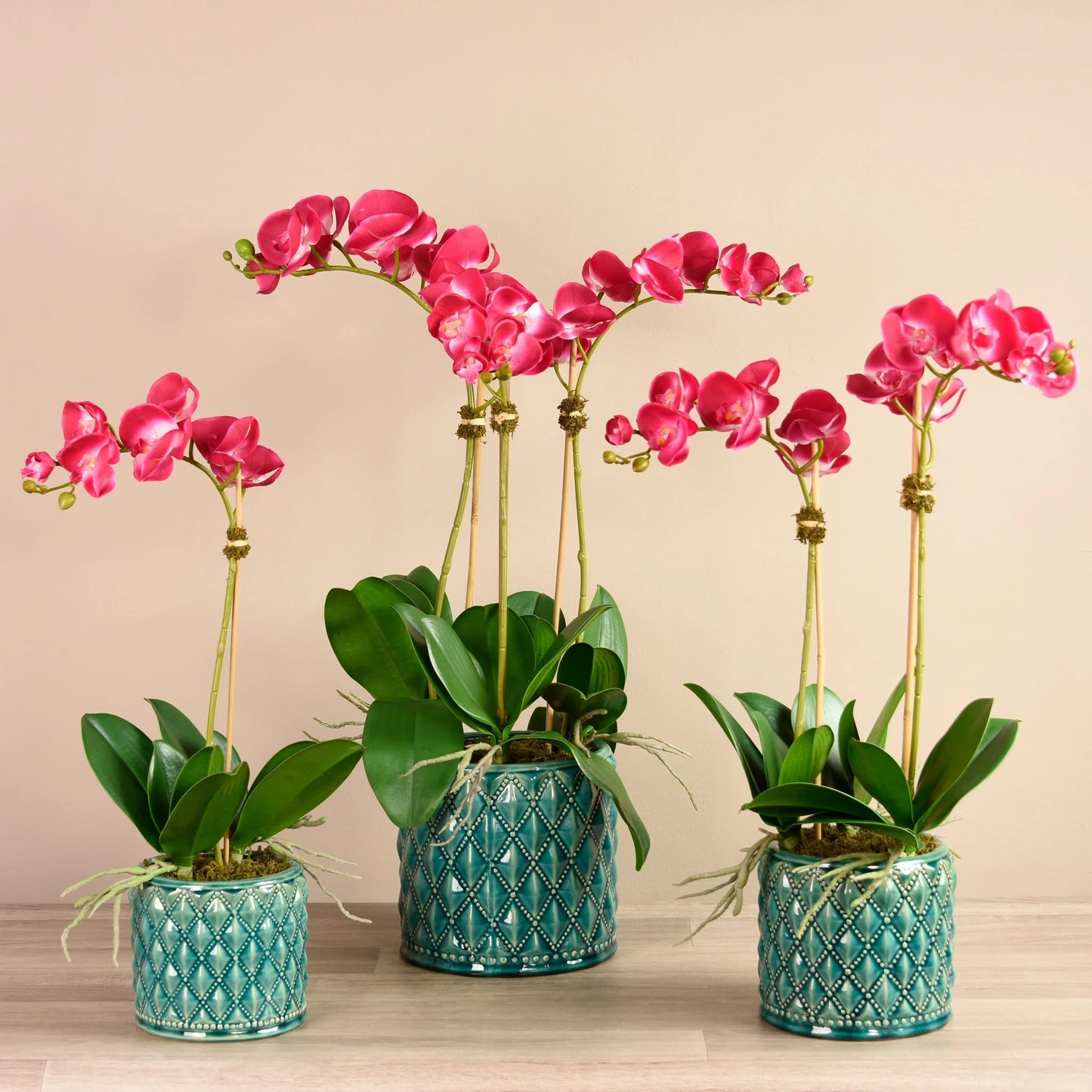Orchid Arrangement in Ceramic Vase - Image 2