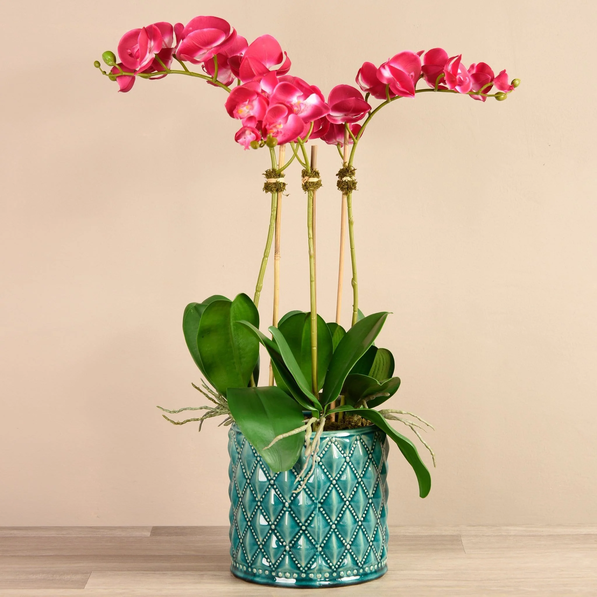 Orchid Arrangement in Ceramic Vase - Image 8