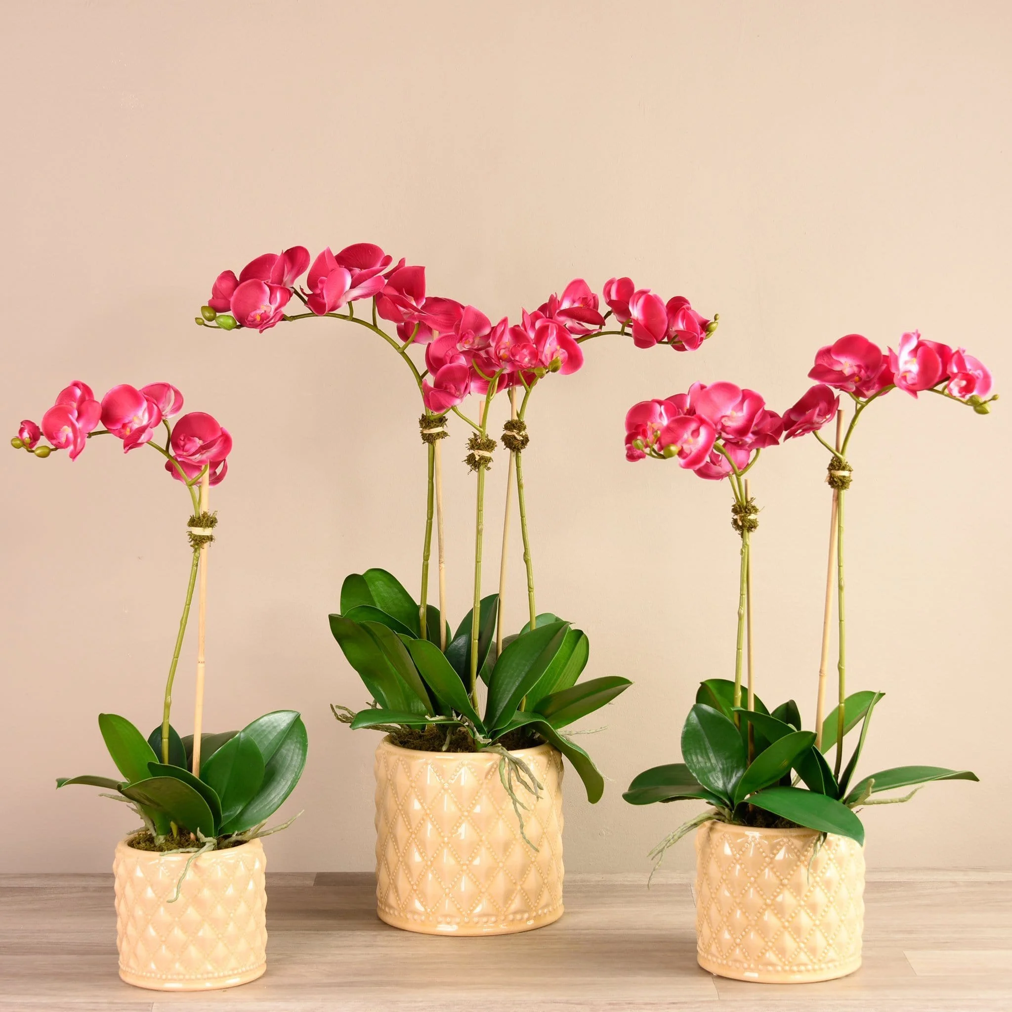 Orchid Arrangement in Ceramic Vase - Image 2