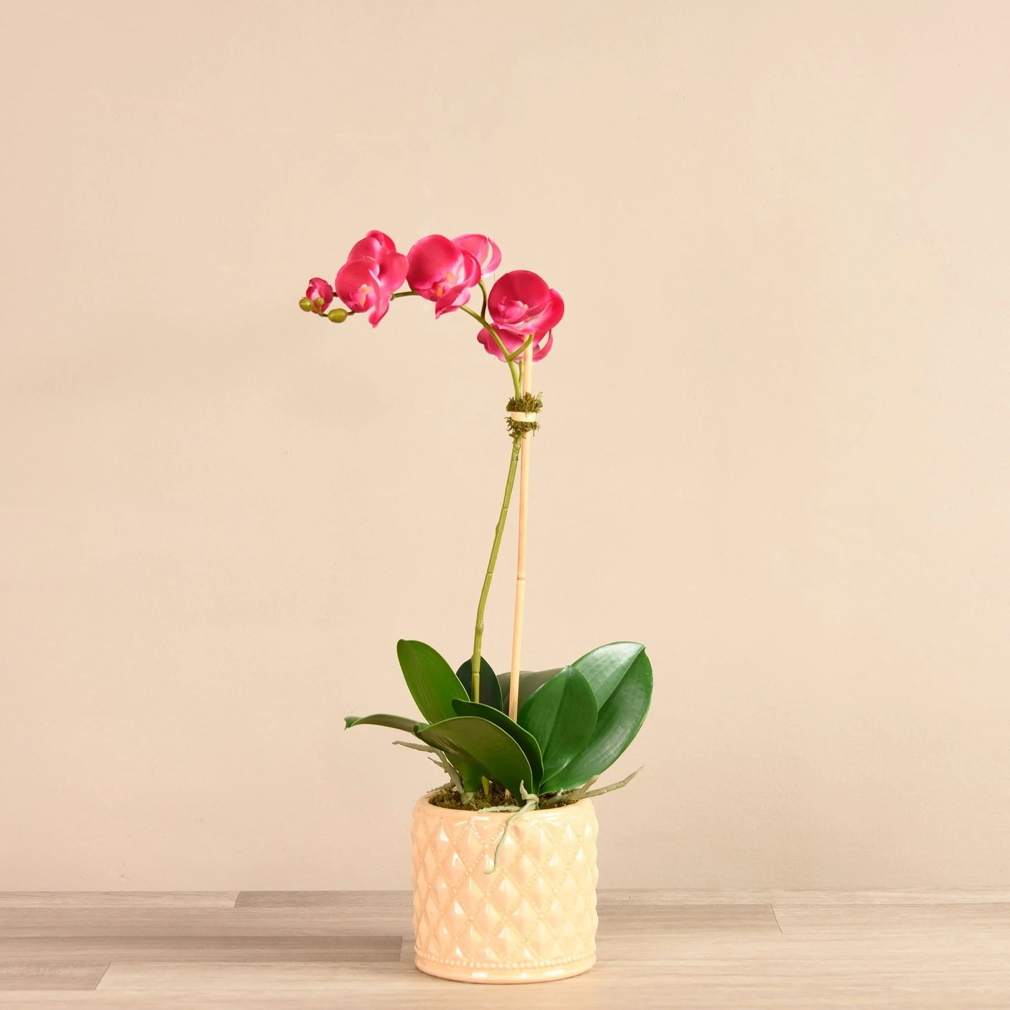 Orchid Arrangement in Ceramic Vase - Image 4