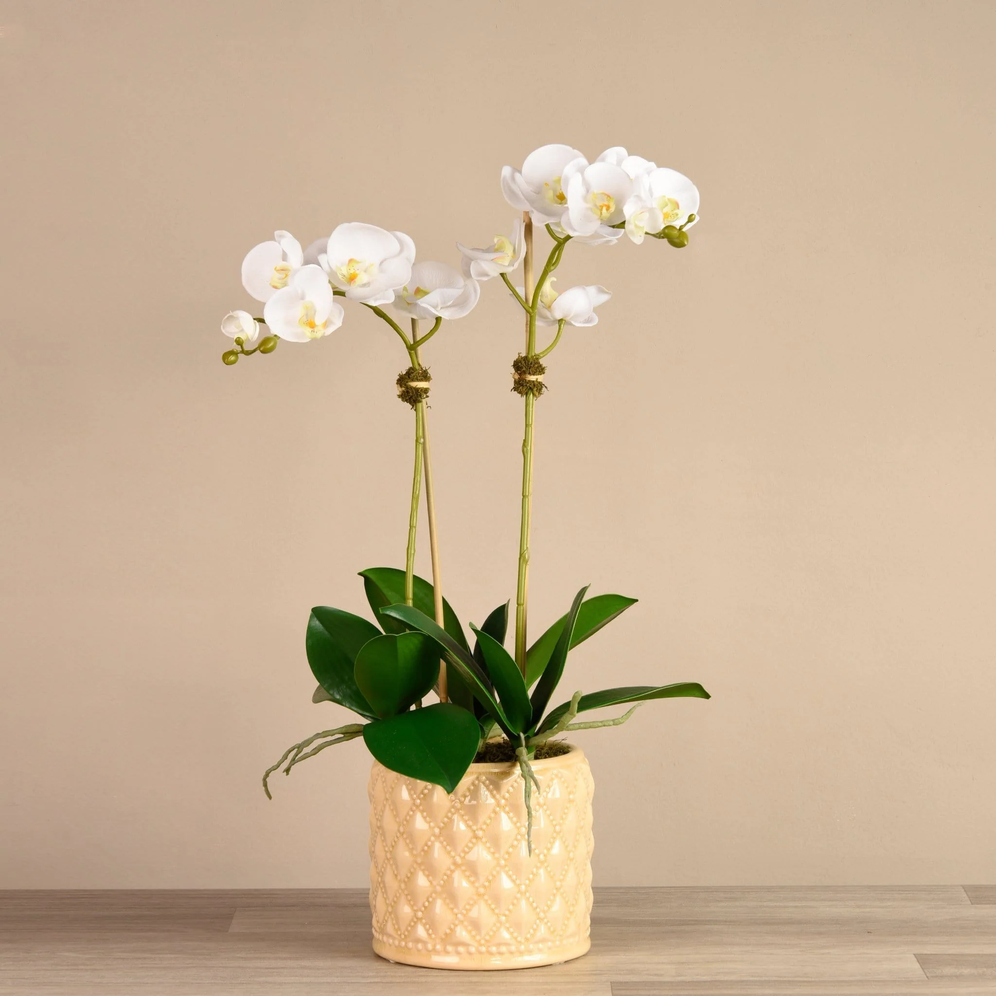 Orchid Arrangement in Ceramic Vase - Image 5