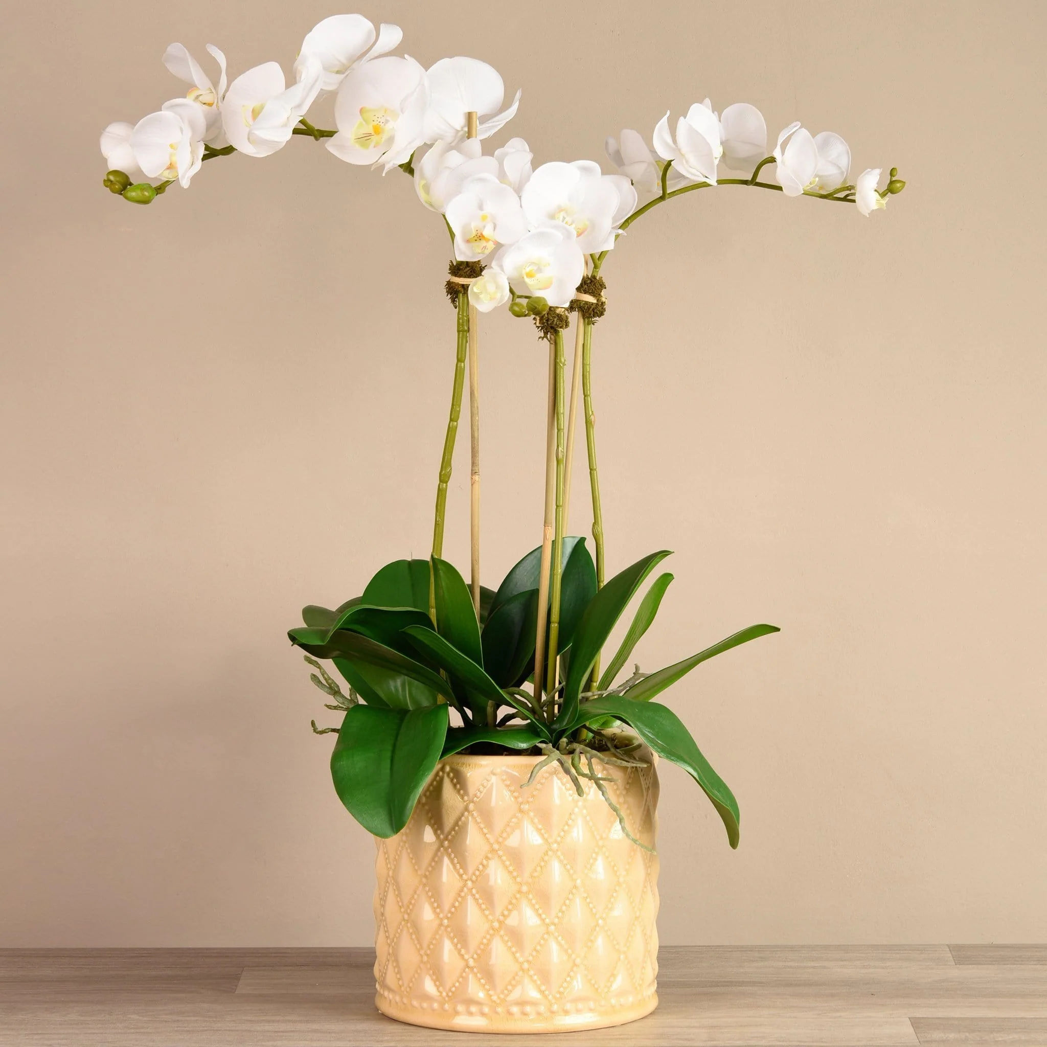 Orchid Arrangement in Ceramic Vase - Image 7