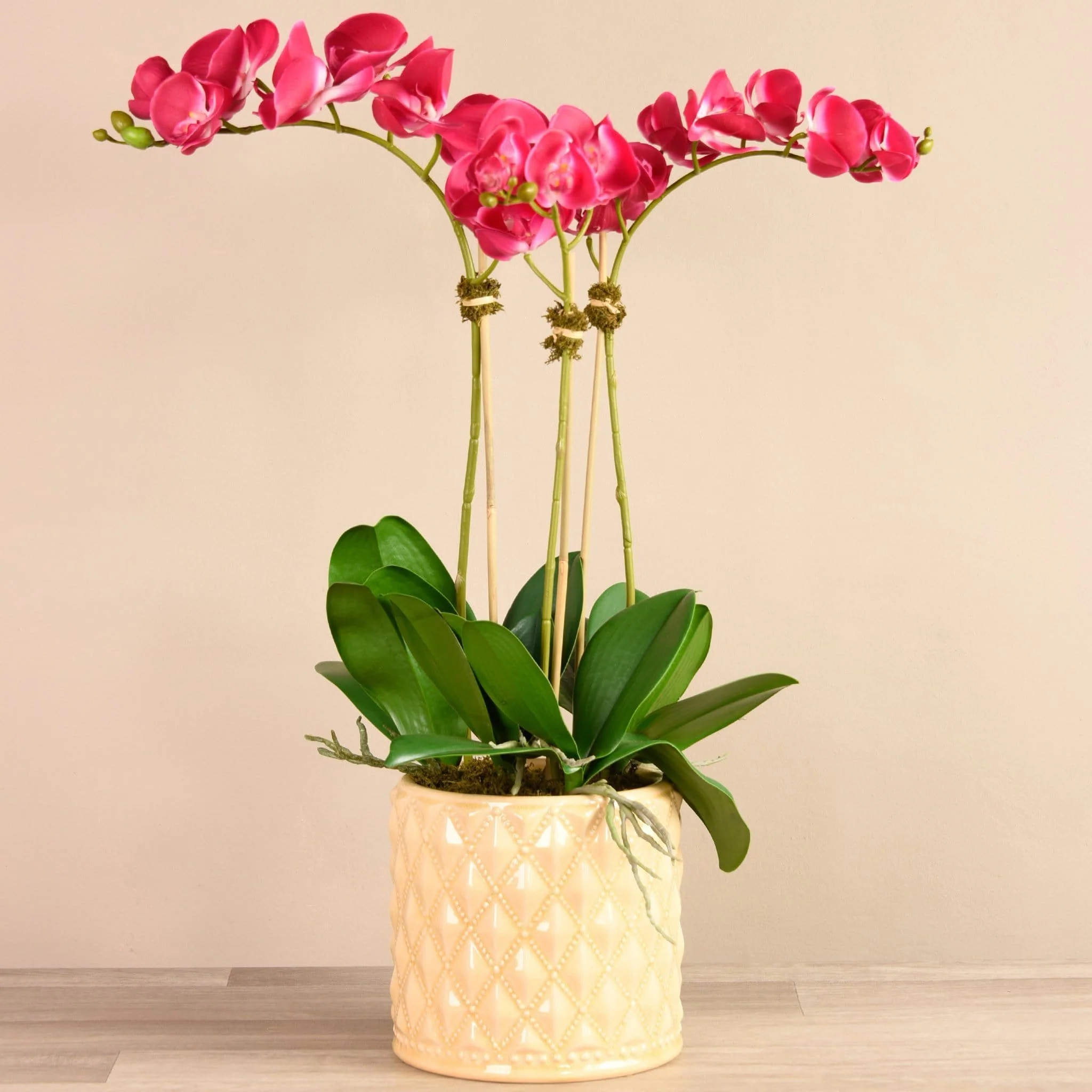 Orchid Arrangement in Ceramic Vase - Image 8